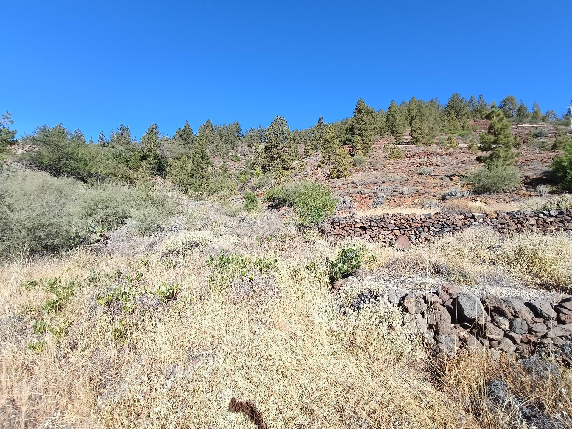 SE VENDE TERRENO RUSTICO EN VILAFLOR - foto 2