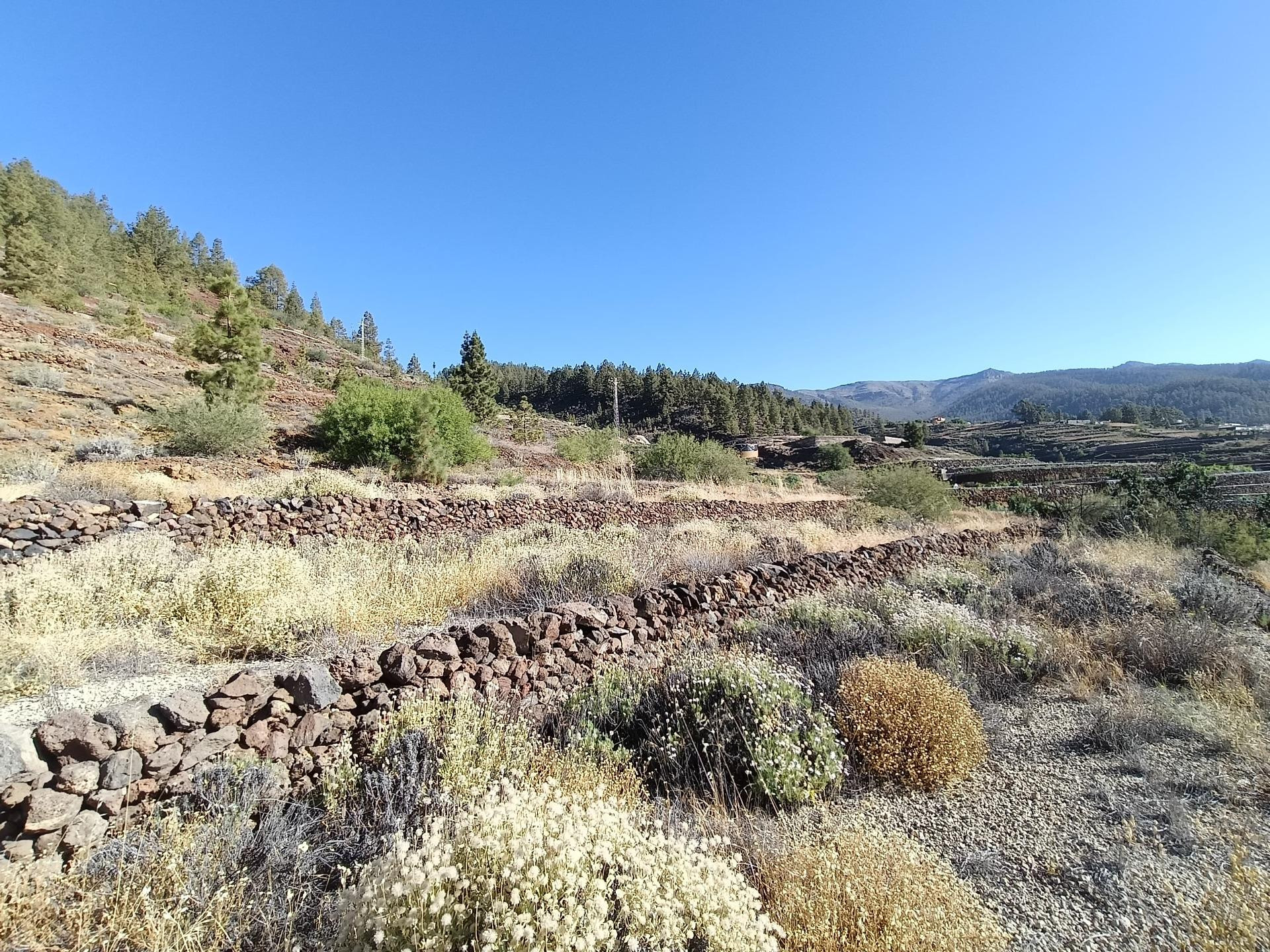 SE VENDE TERRENO RUSTICO EN VILAFLOR - foto 3