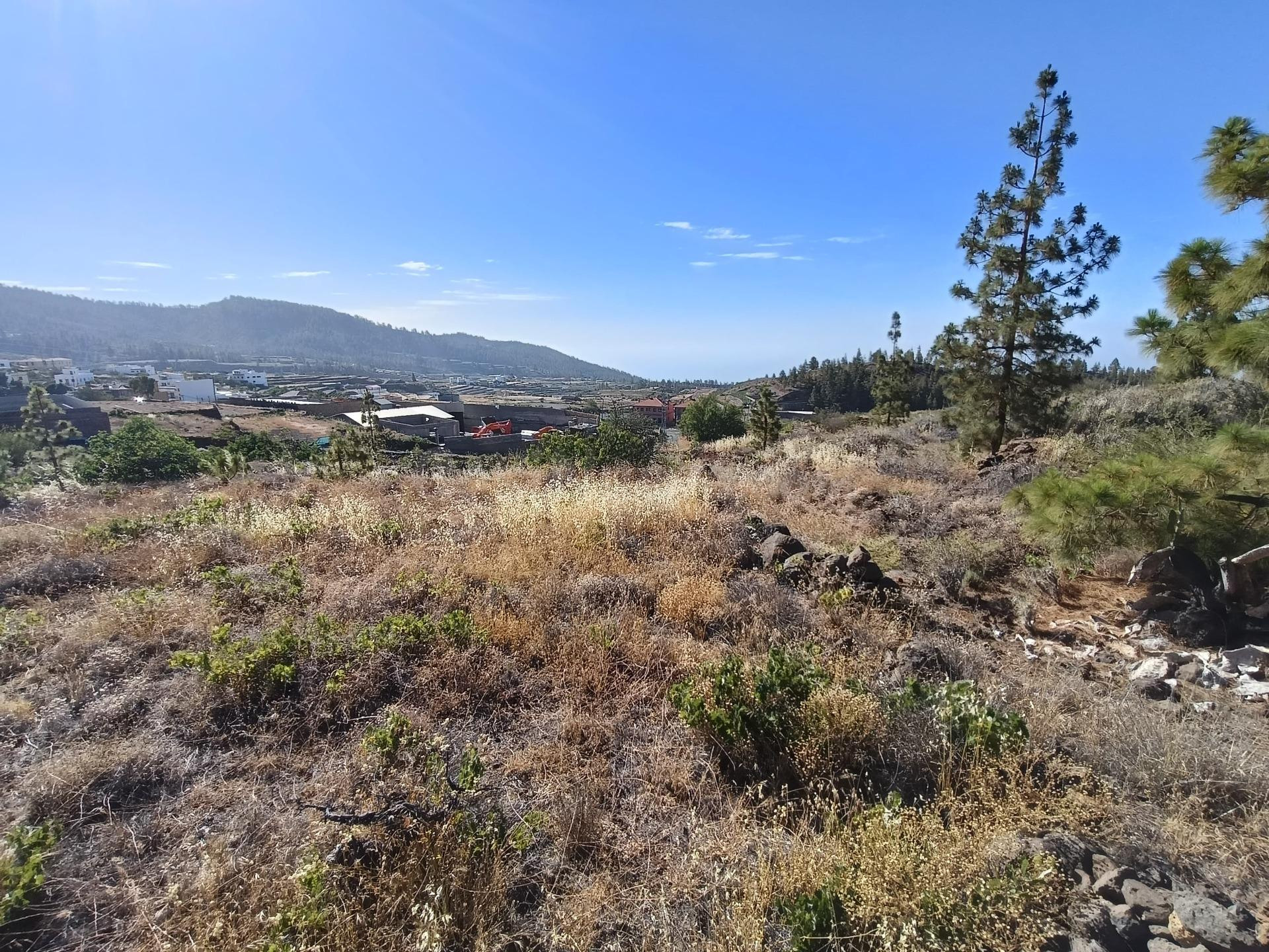 SE VENDE TERRENO RUSTICO EN VILAFLOR - foto 4