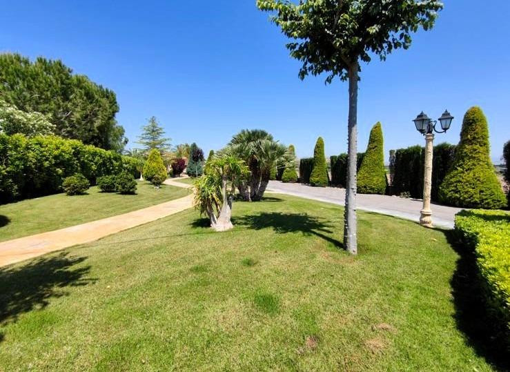 SE VENDE ESPECTACULAR CHALET EN ASPE (ALICANTE) - foto 3