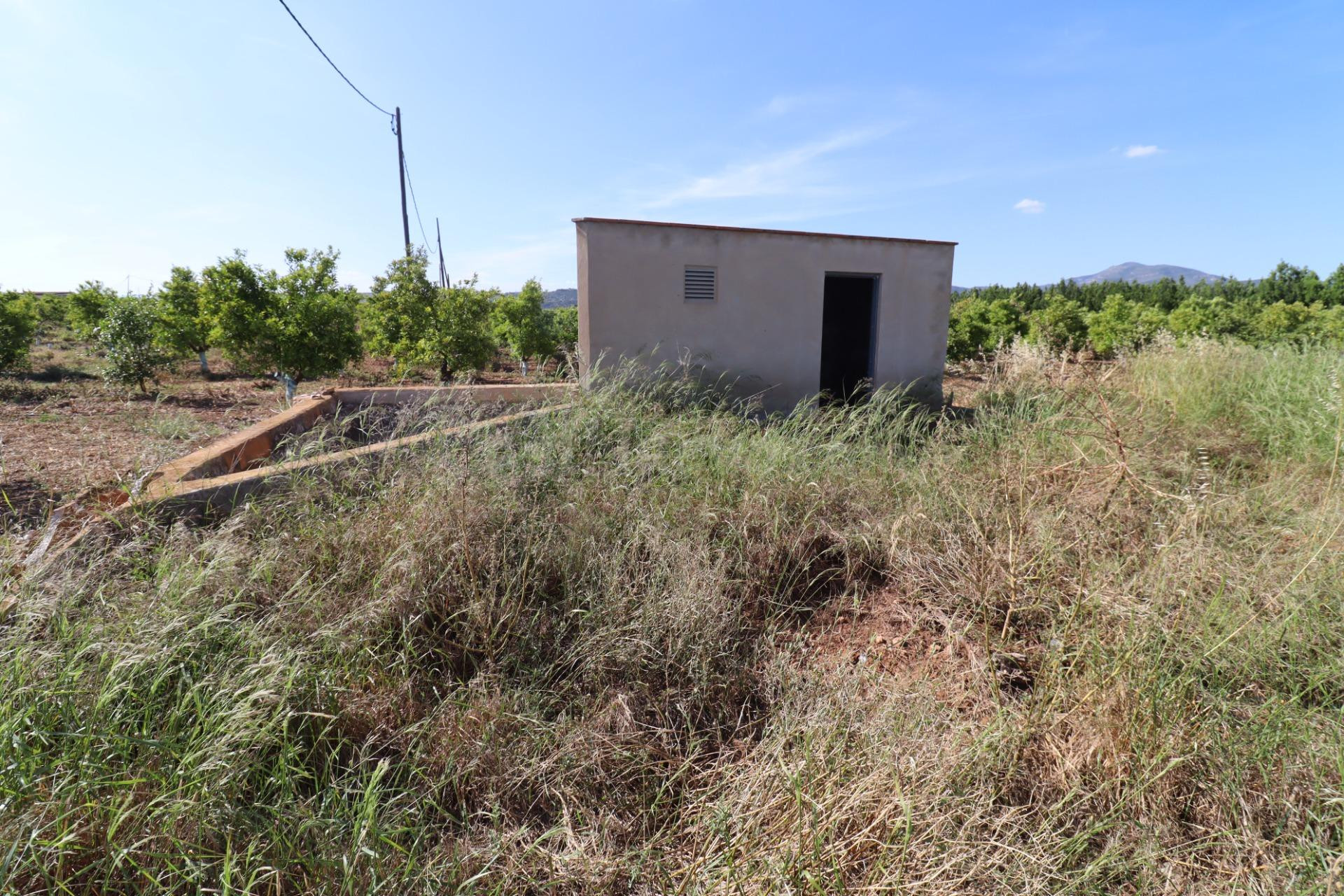 Finca yerma en la Martorella