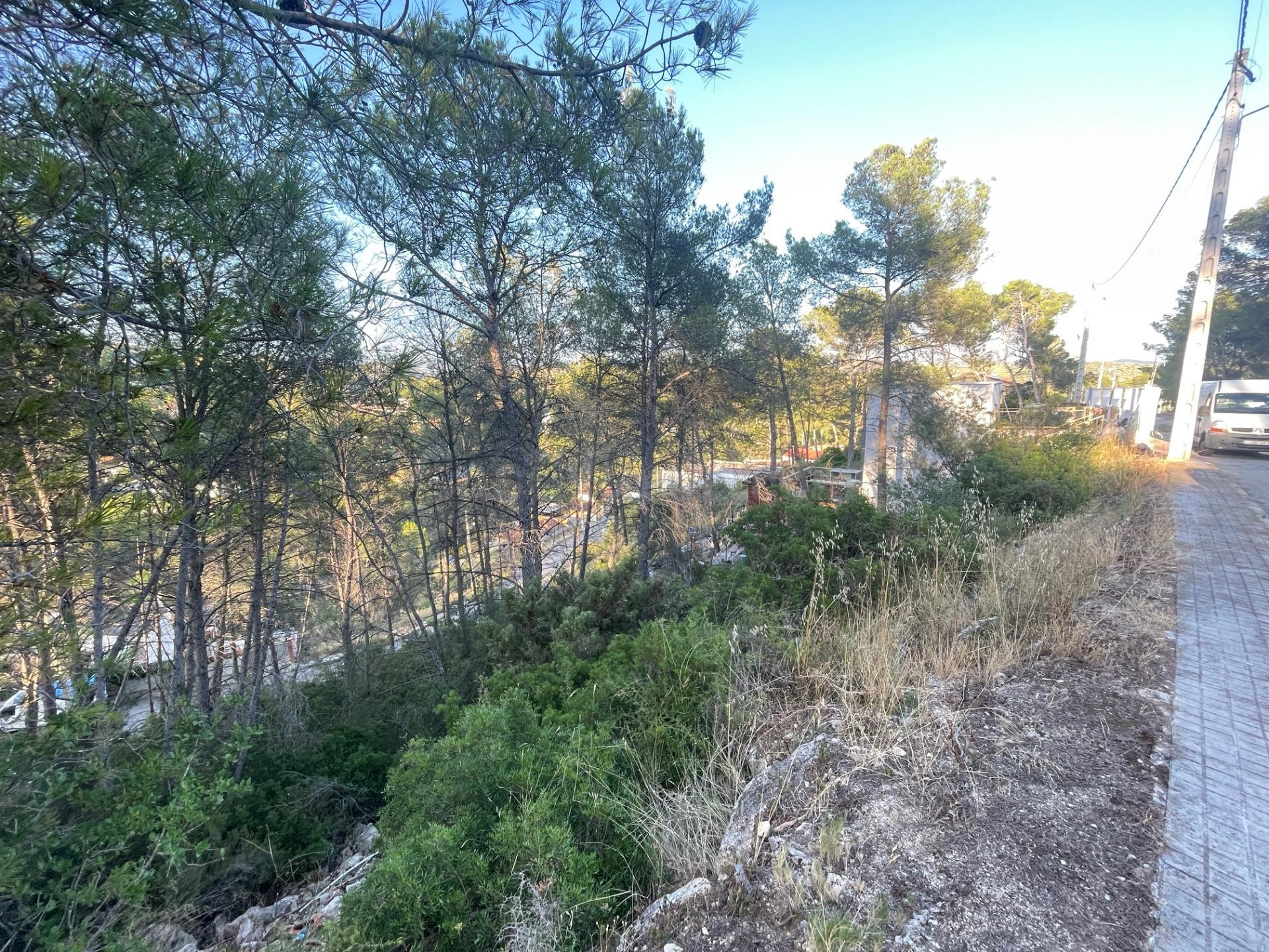 PARCELA URBANA DE 844 m2 EN OLIVELLA , IDEAL PARA CONSTRUIR  - foto 3