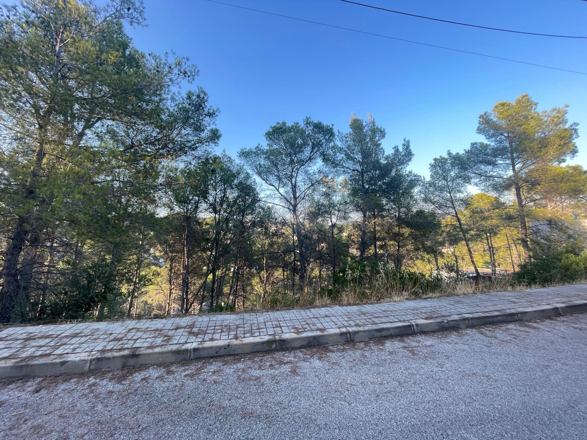 PARCELA URBANA DE 844 m2 EN OLIVELLA , IDEAL PARA CONSTRUIR  - foto 4
