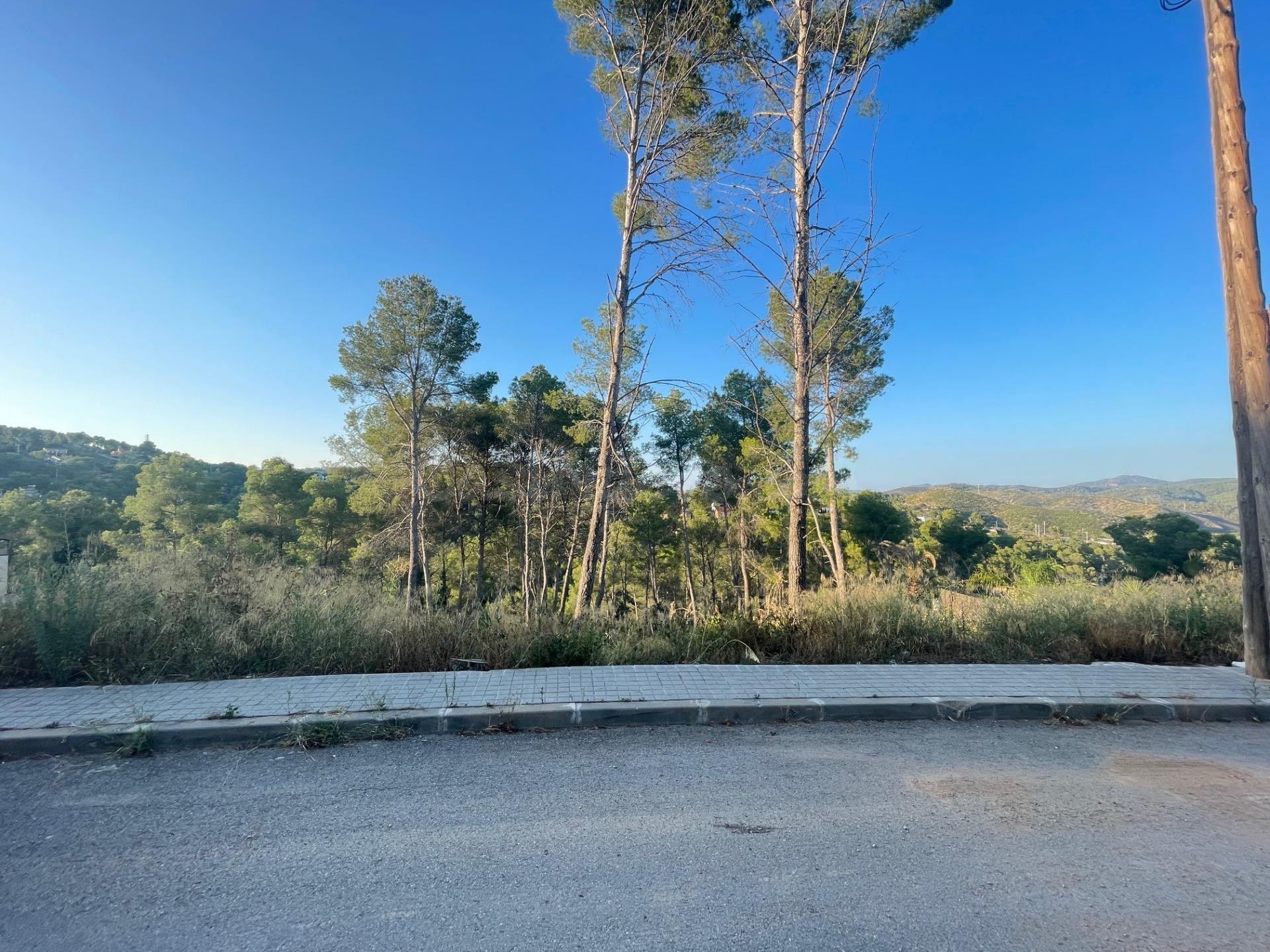 PARCELA URBANA DE 1000 m2 EN OLIVELLA , IDEAL PARA CONSTRUIR - foto 5