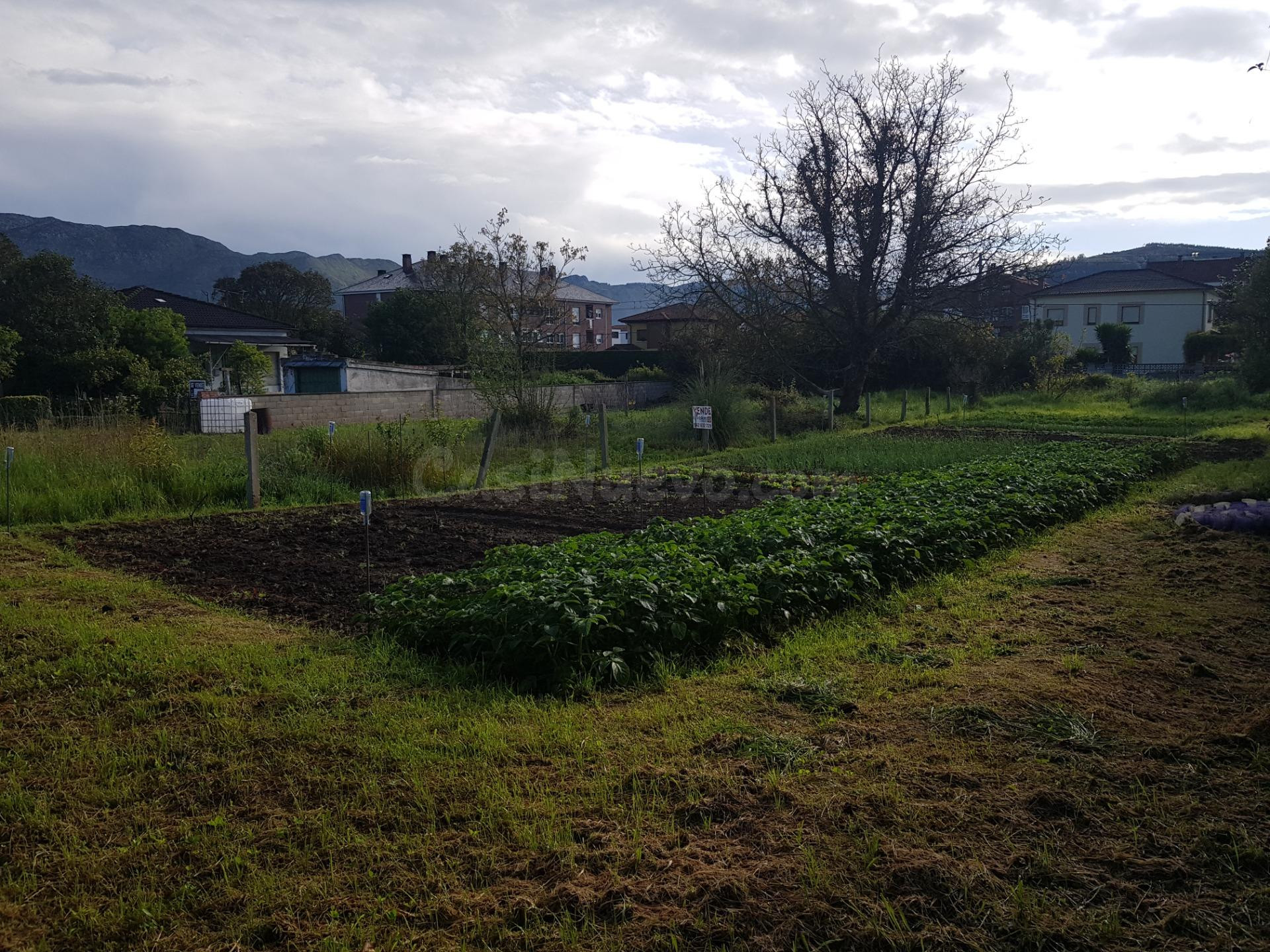 Mil metros cuadrados de terreno urbano en Los Corrales de Bu - foto 4