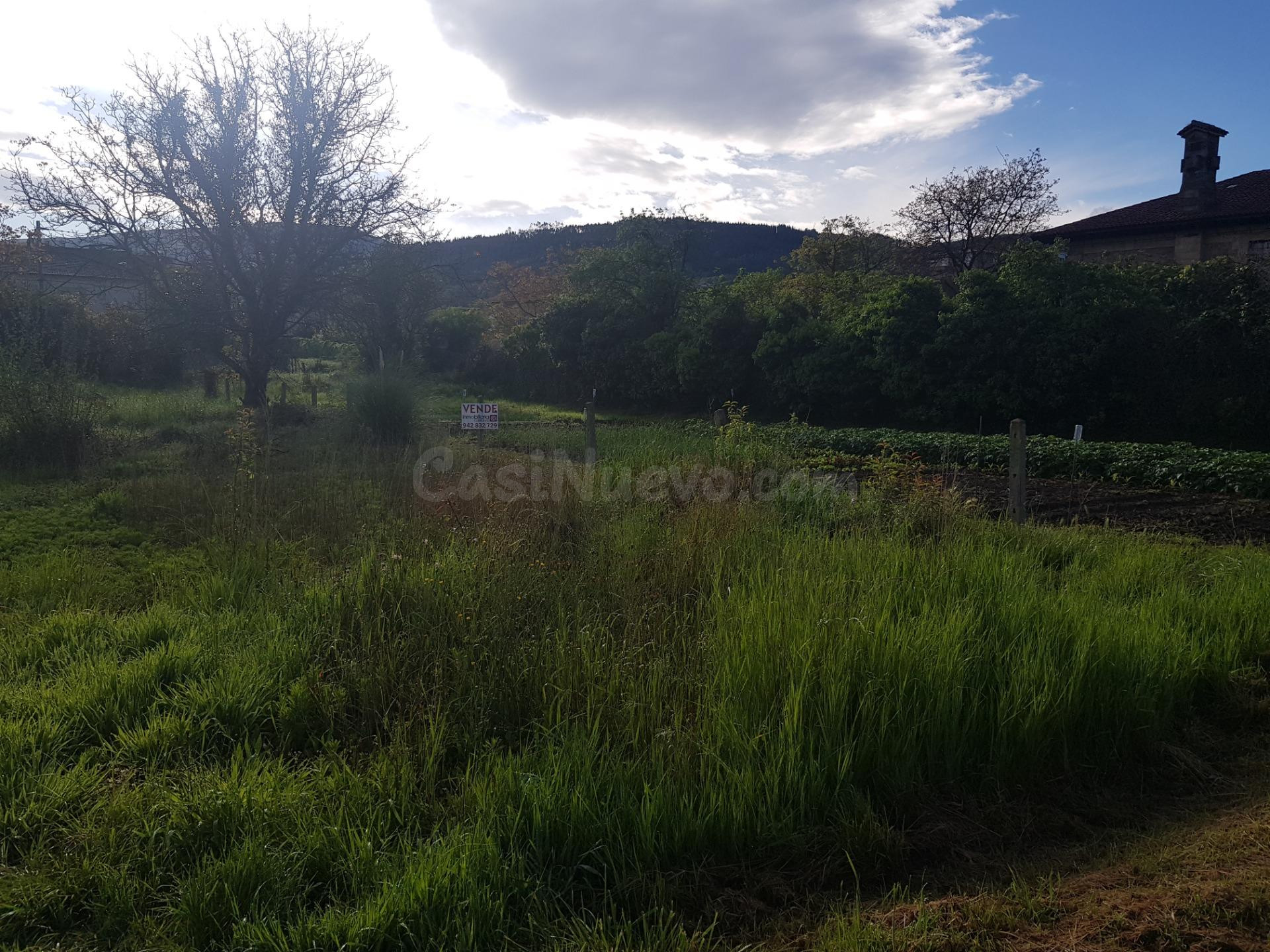 Mil metros cuadrados de terreno urbano en Los Corrales de Bu - foto 5