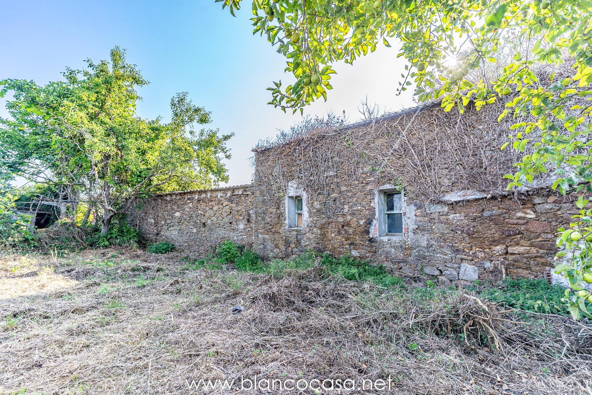 🏡 ¡Oportunidad en Carballo! Dos casas con finca para REFORMA - foto 2