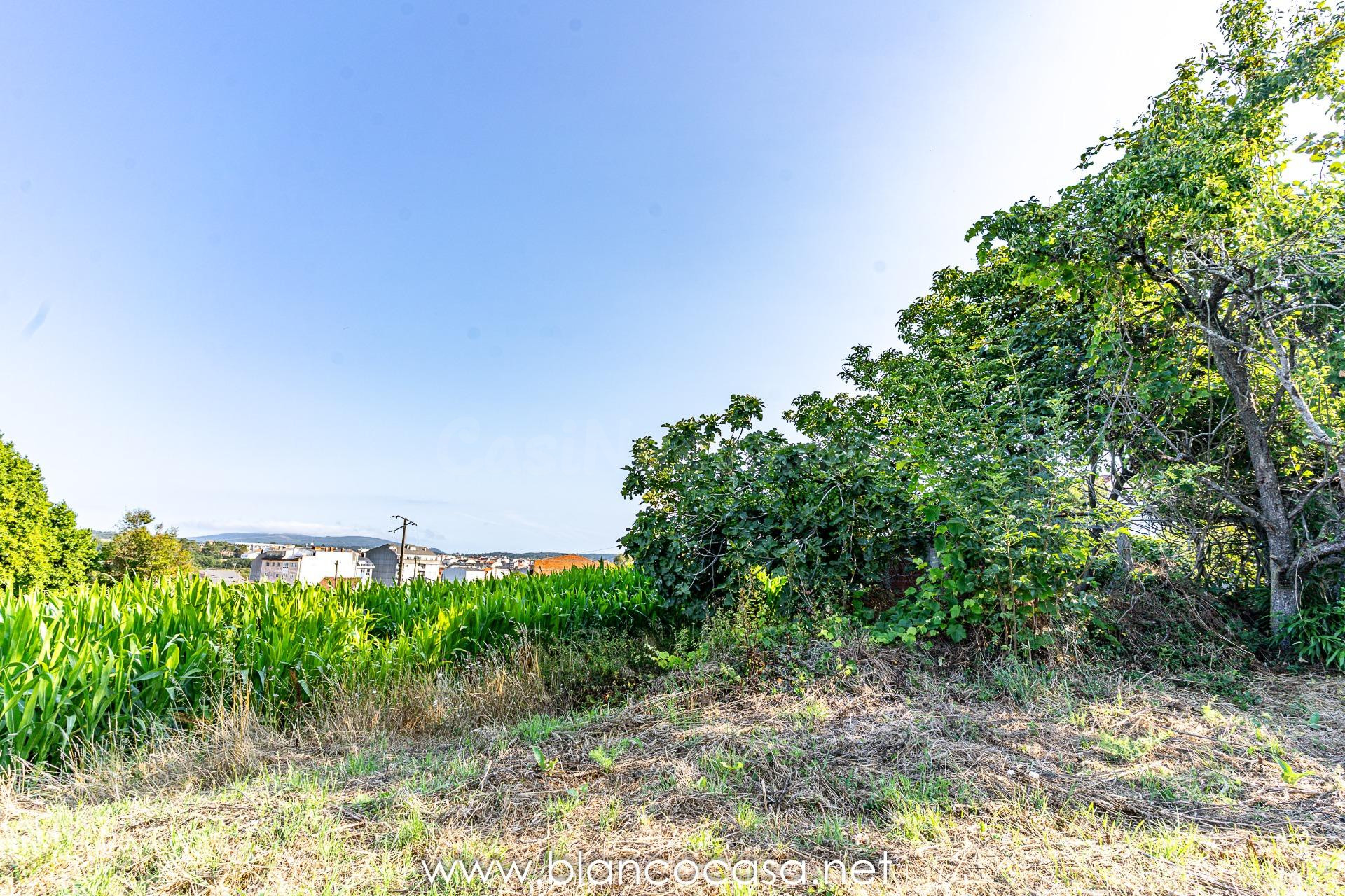 🏡 ¡Oportunidad en Carballo! Dos casas con finca para REFORMA - foto 3