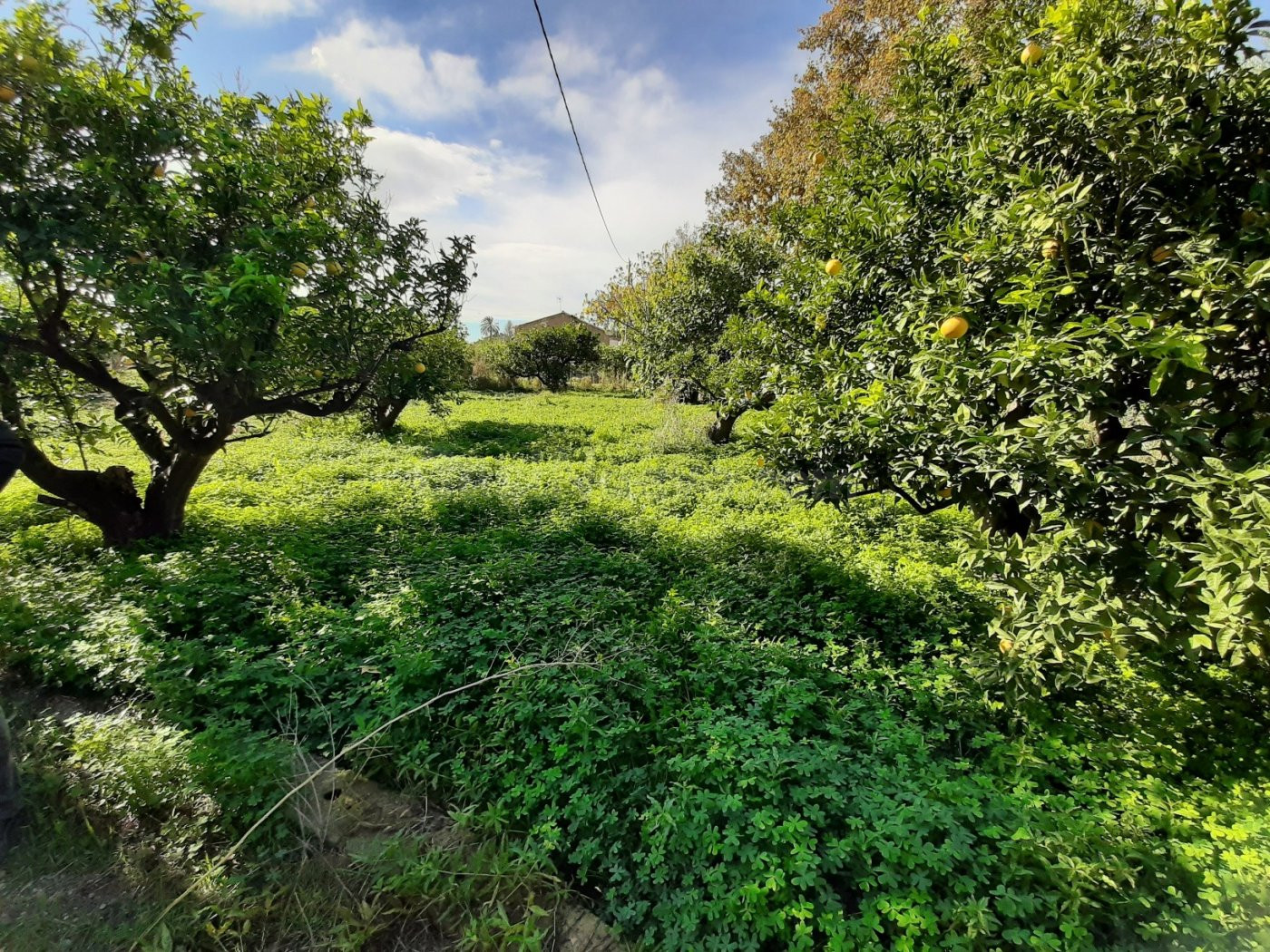 Estupendo Cortijo muy próximo al centro Lorca - foto 3