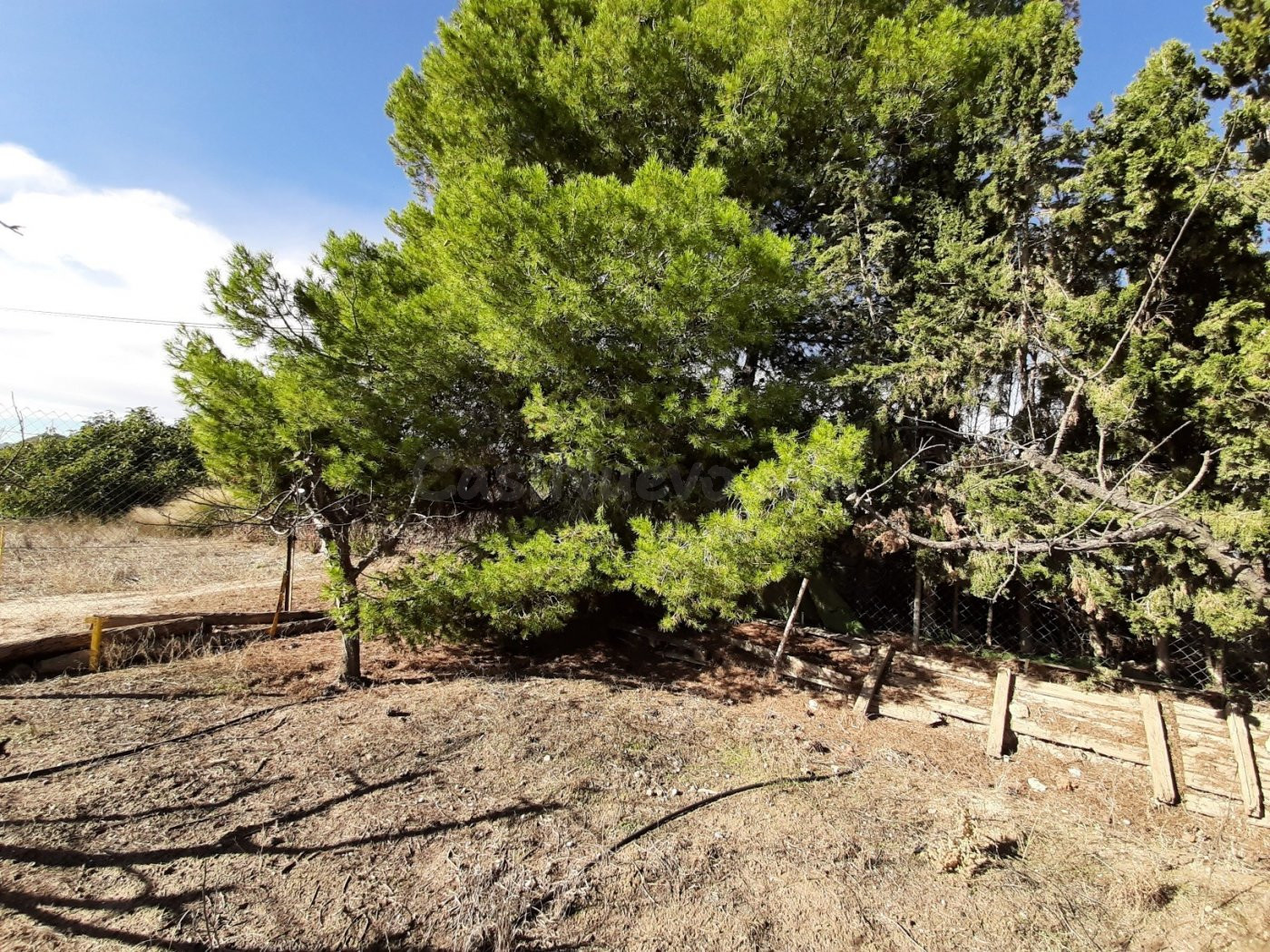 Estupendo Cortijo muy próximo al centro Lorca - foto 4