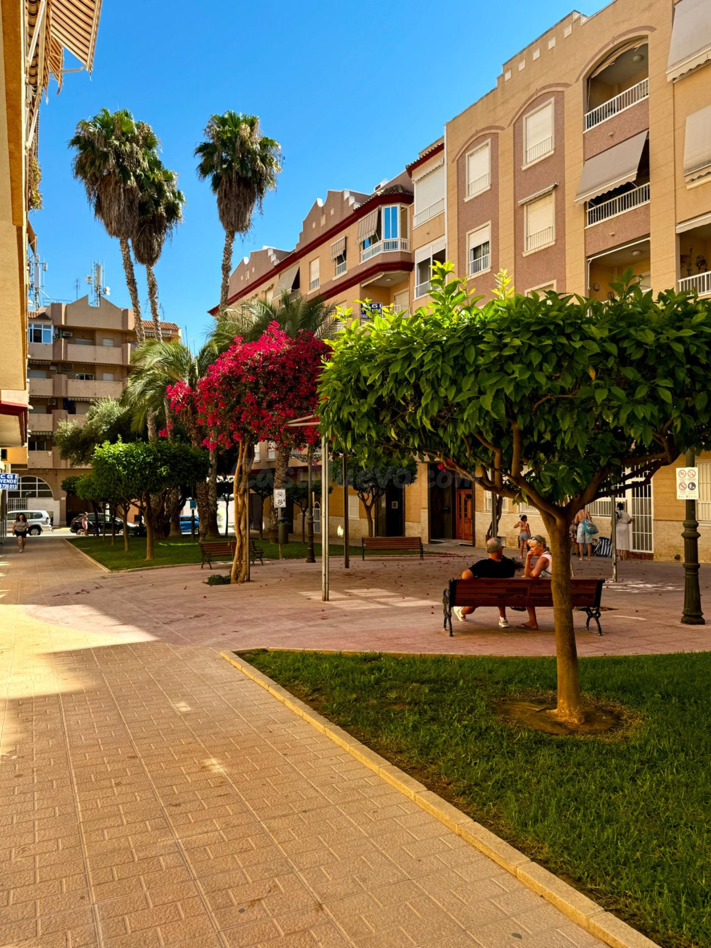 GRAN BAJADA DE PRECIO!!Excepcional ático con vistas al mar en Guardamar del Segura! - foto 2