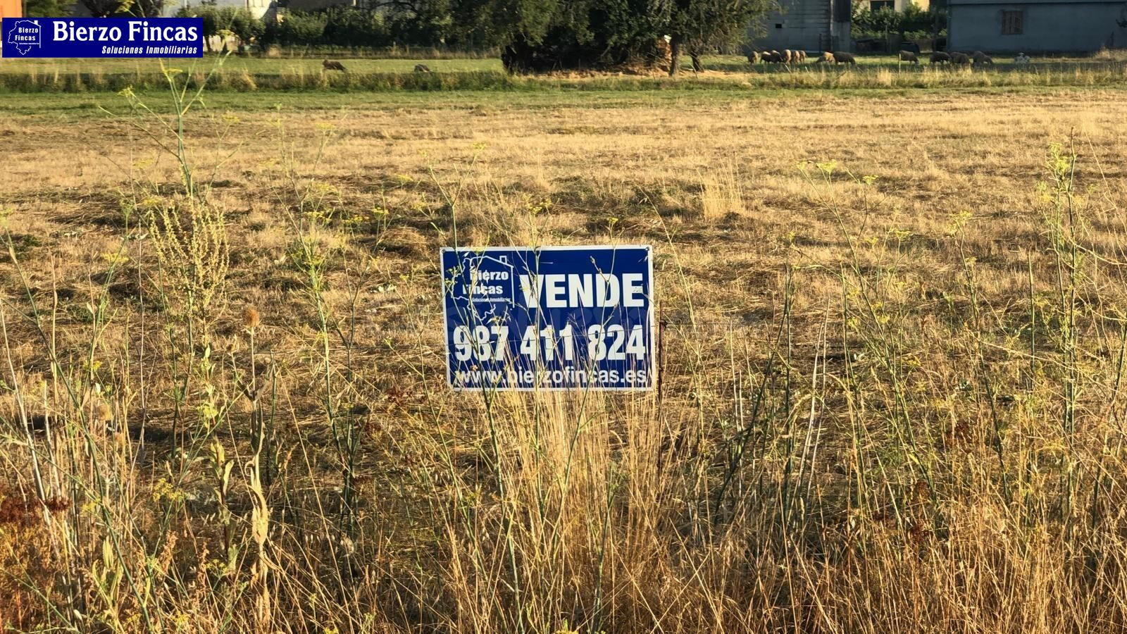 Terreno Urbano en Cascallares, Cubillos del Sil, Polígono 4, Parcela 177