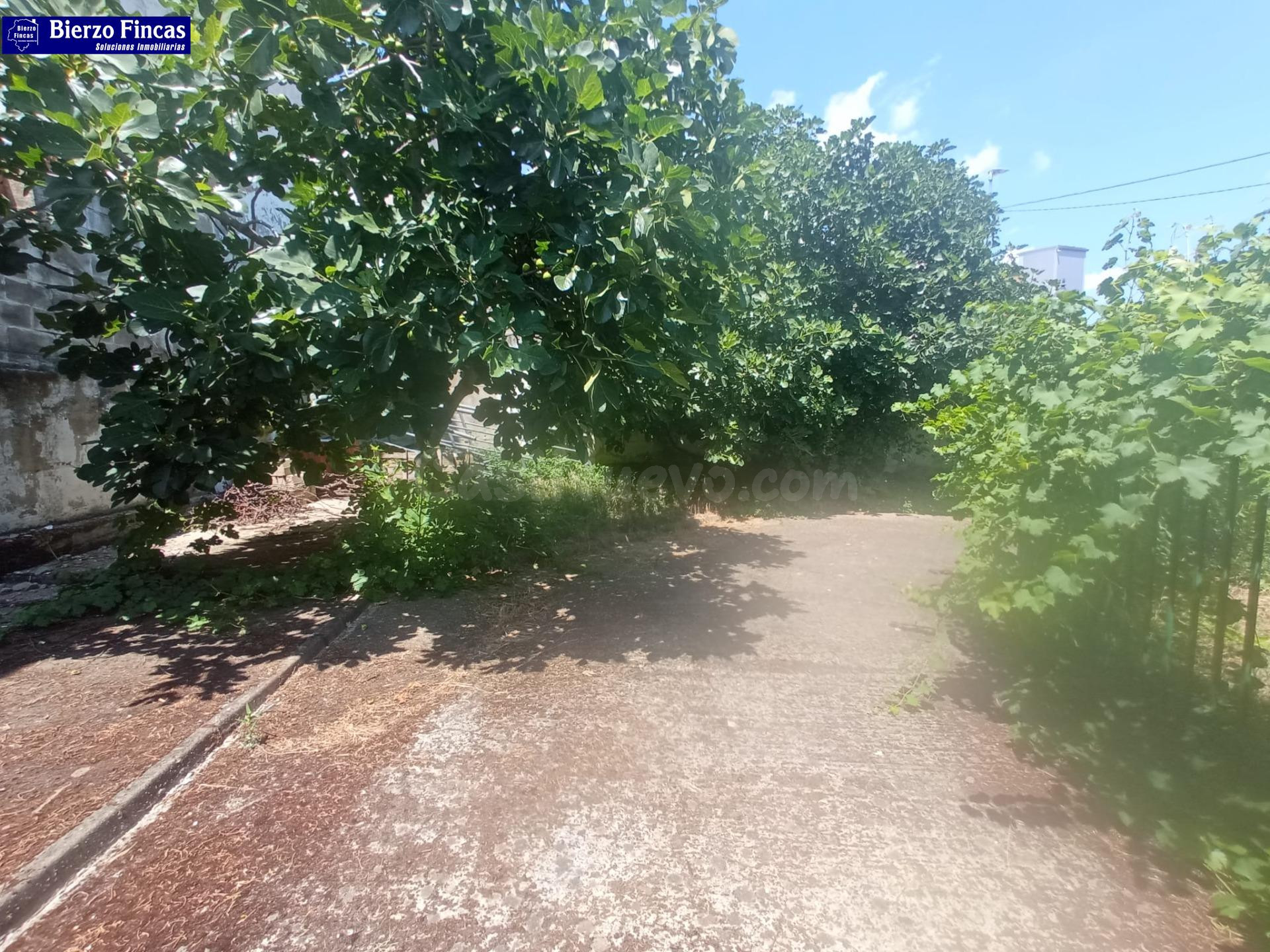 SE VENDE CASA PARA FIN DE SEMANA EN LA BAÑEZA - foto 2
