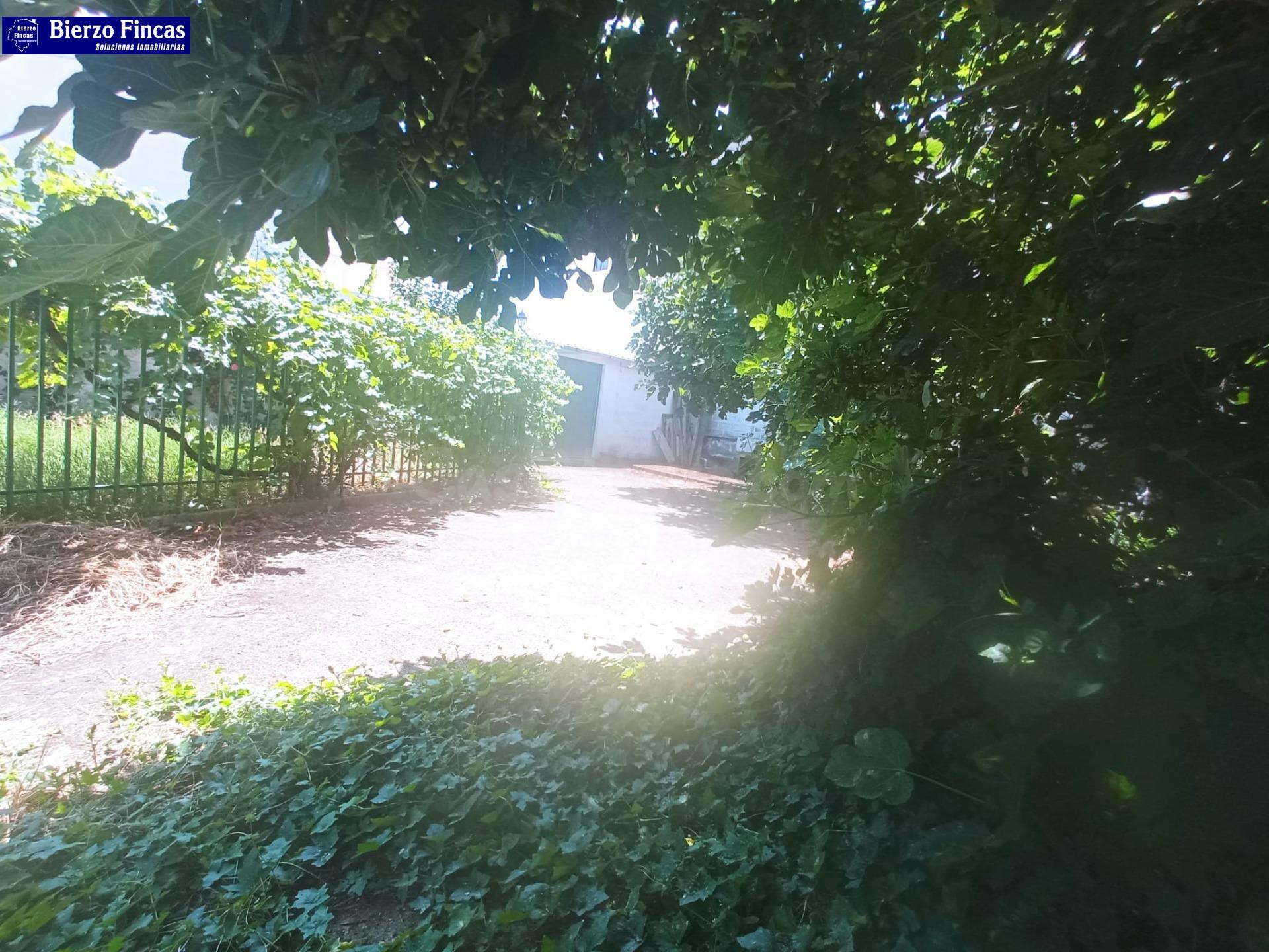SE VENDE CASA PARA FIN DE SEMANA EN LA BAÑEZA - foto 4