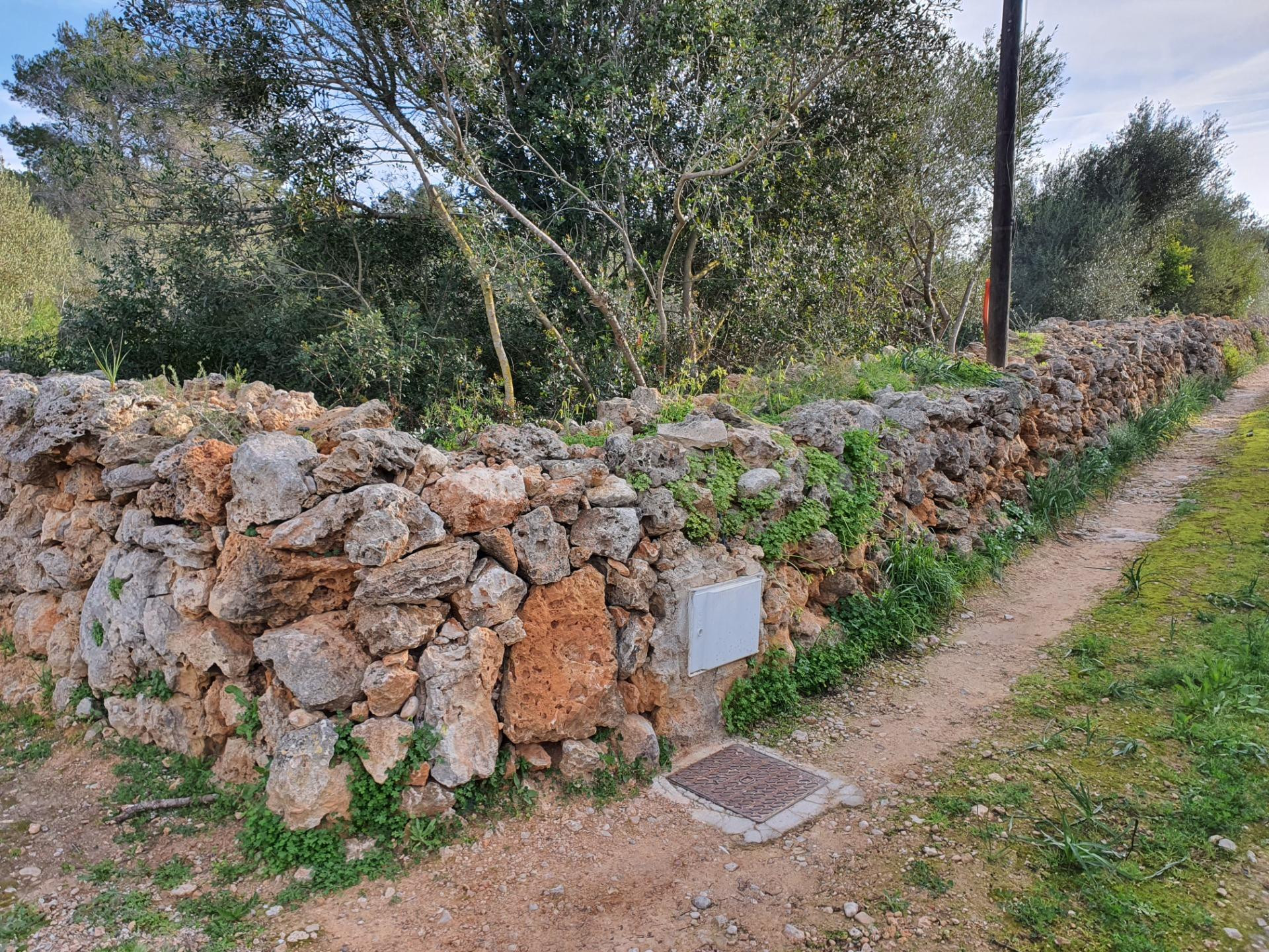 Parcela urbana consolidada en Marratxi ( vistas Bahia de Palma) RU800 - foto 3