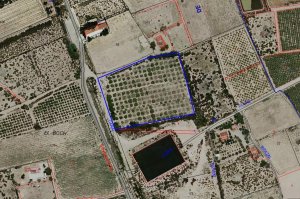 SE VENDE PARCELA DE 12.272 METROS CUADRADOS MUY CERCA DE est - foto 5