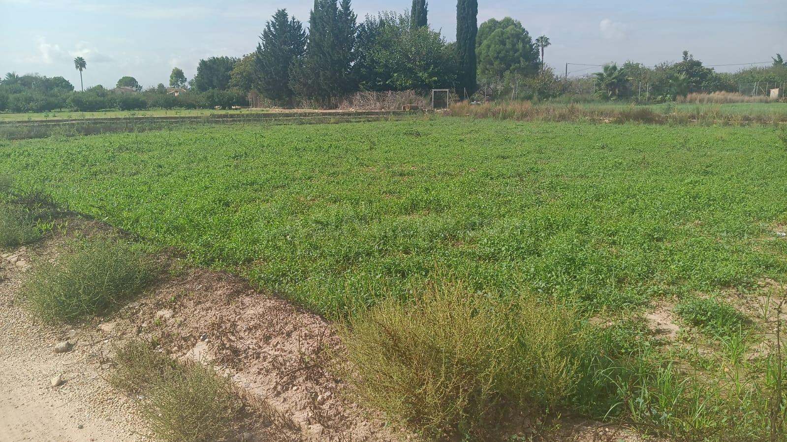 SE VENDE TERRENO EN LA HUERTA