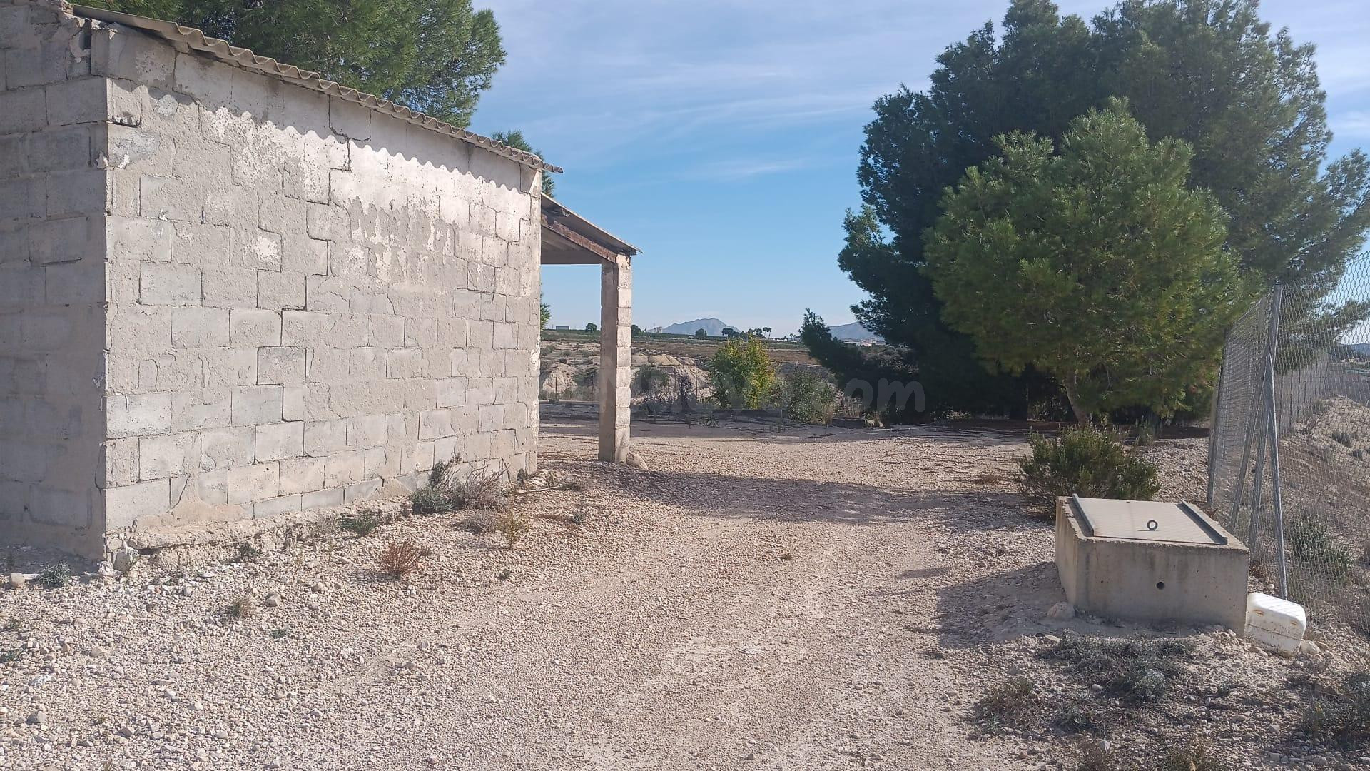 SE VENDE TERRENO CON CASA DE APERO EN EL TOMILLAR - foto 2