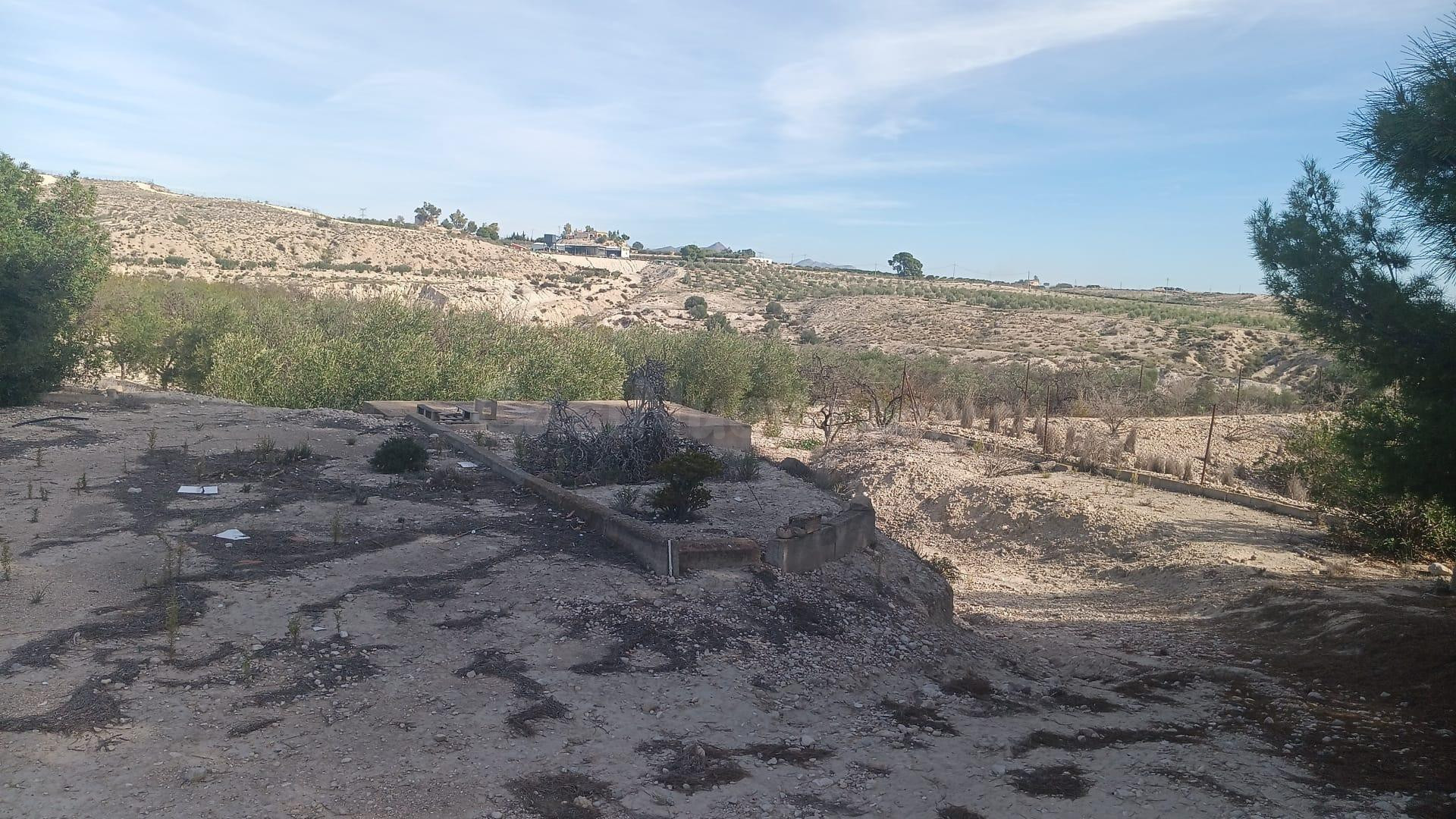 SE VENDE TERRENO CON CASA DE APERO EN EL TOMILLAR - foto 5