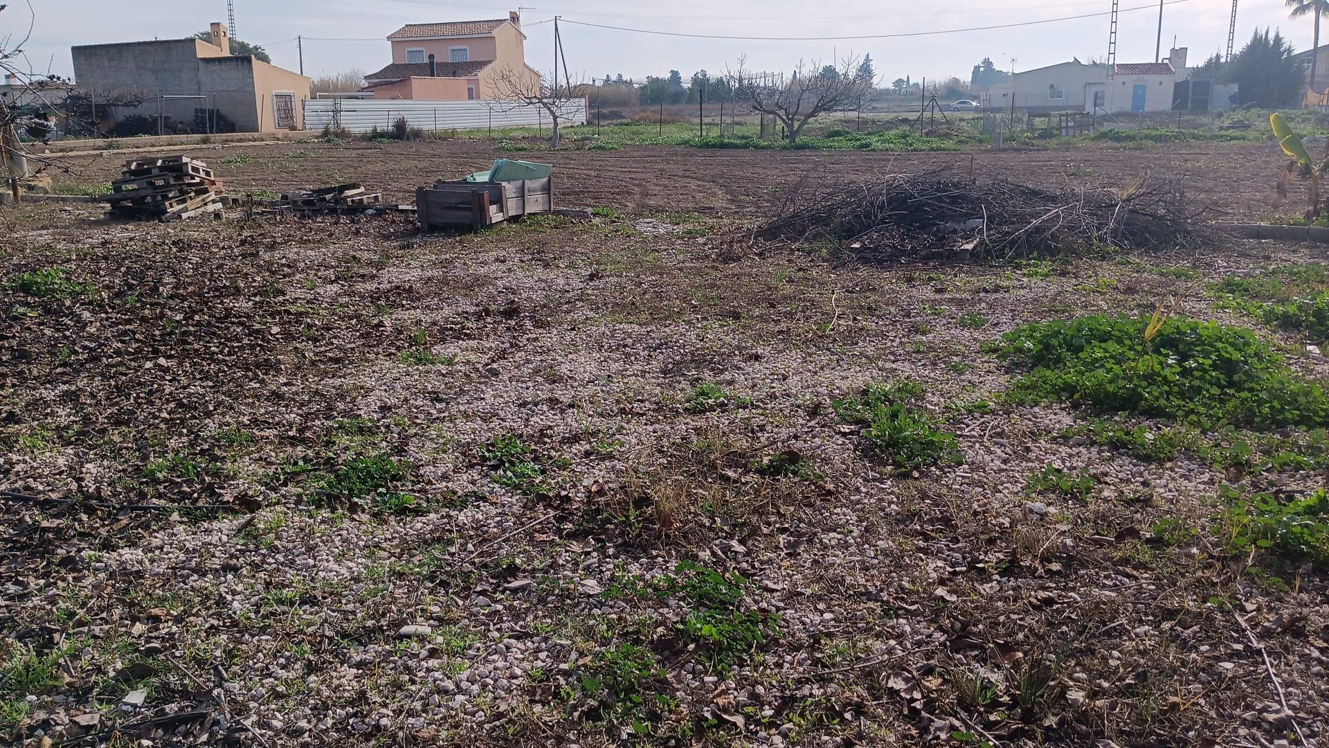 SE VENDE CASA CON TERRENO EN MOLINA DE SEGURA ( HUERTA ABAJO) - foto 3