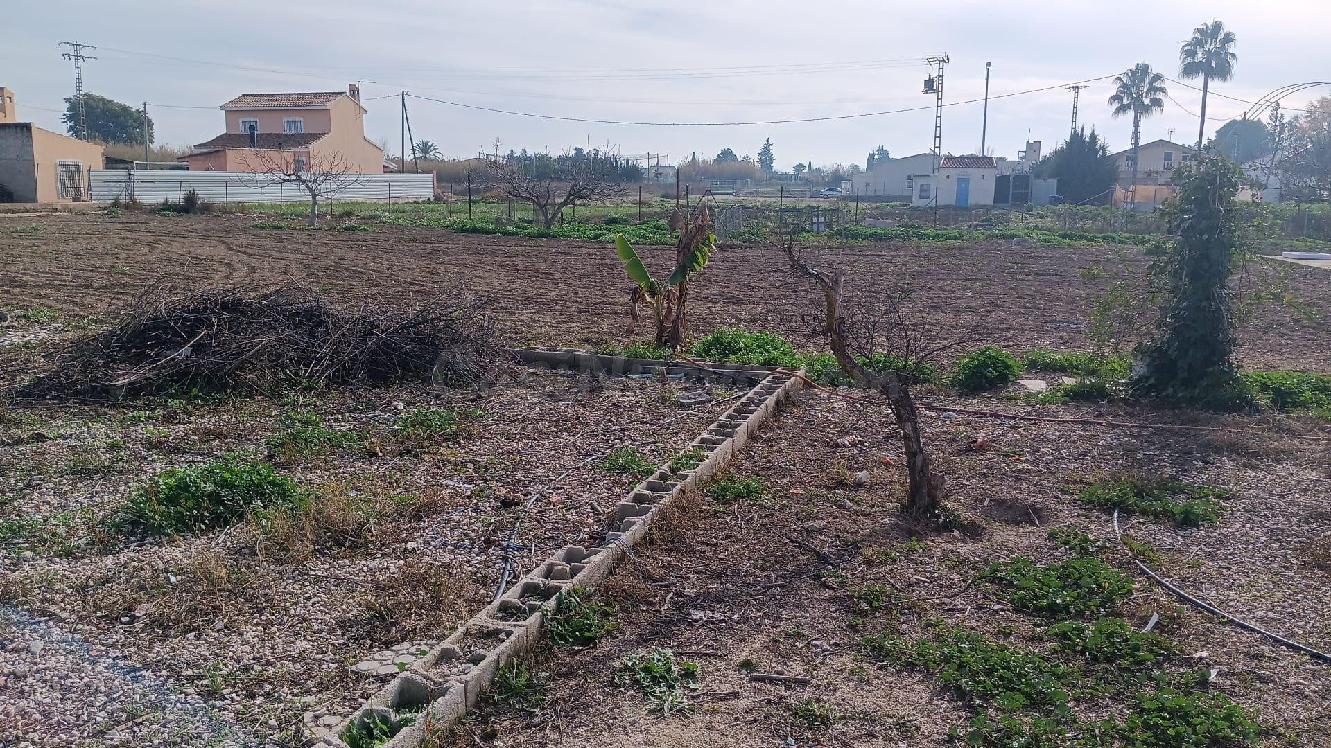 SE VENDE CASA CON TERRENO EN MOLINA DE SEGURA ( HUERTA ABAJO) - foto 5