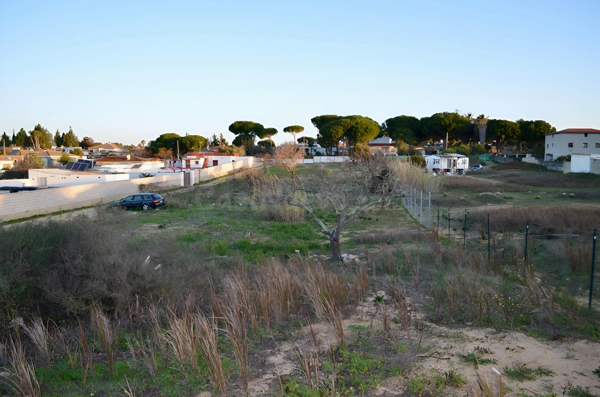 TU SUEÑO EMPIEZA AQUÍ: AMPLIA PARCELA EN EL PINAR DE LOS FRANCESES