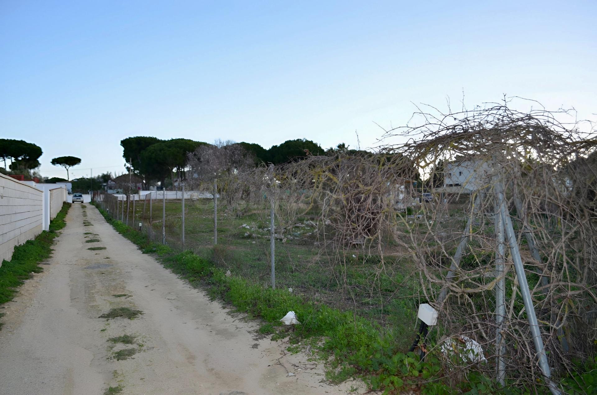 TU SUEÑO EMPIEZA AQUÍ: AMPLIA PARCELA EN EL PINAR DE LOS FRANCESES - foto 3