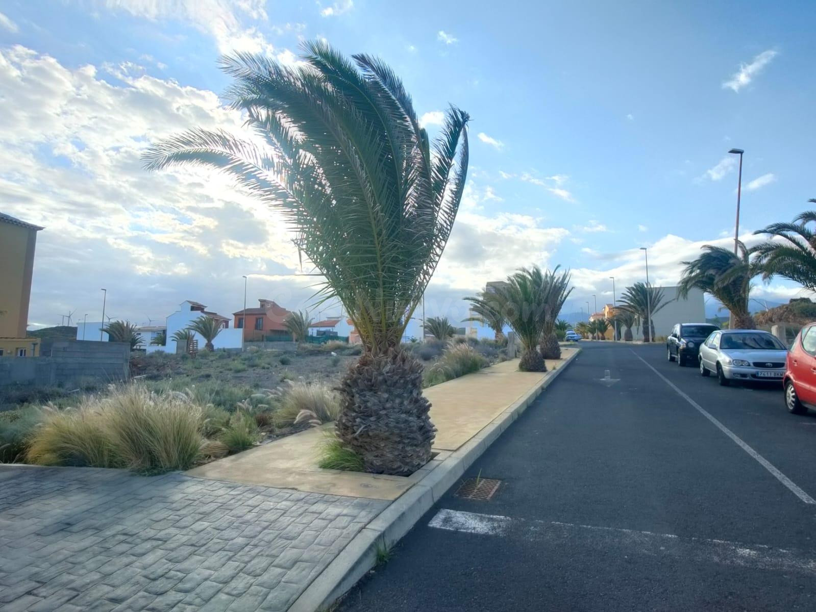 🏡 Terreno en venta en La Listada – Arico 🌊 - foto 3