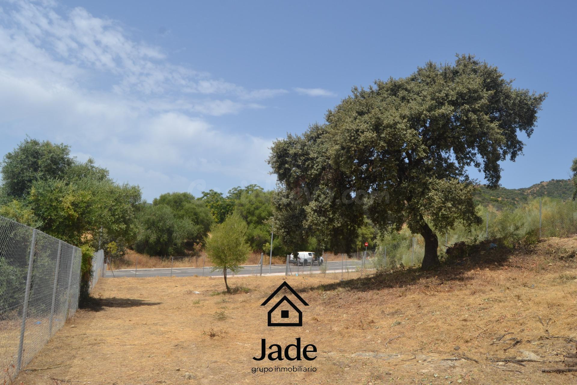 terreno Urbano en Santa Ana de la Albaida - foto 2