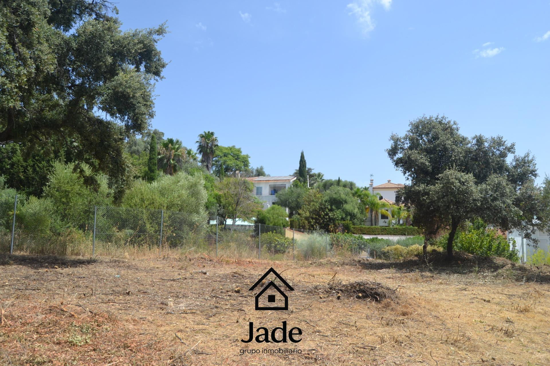terreno Urbano en Santa Ana de la Albaida - foto 3