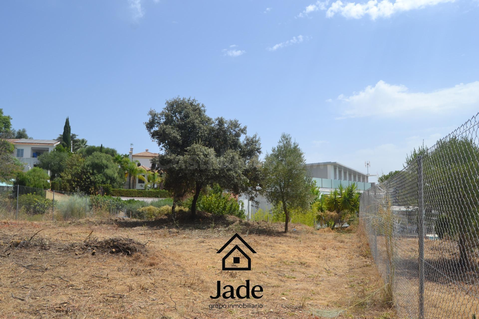 terreno Urbano en Santa Ana de la Albaida - foto 4