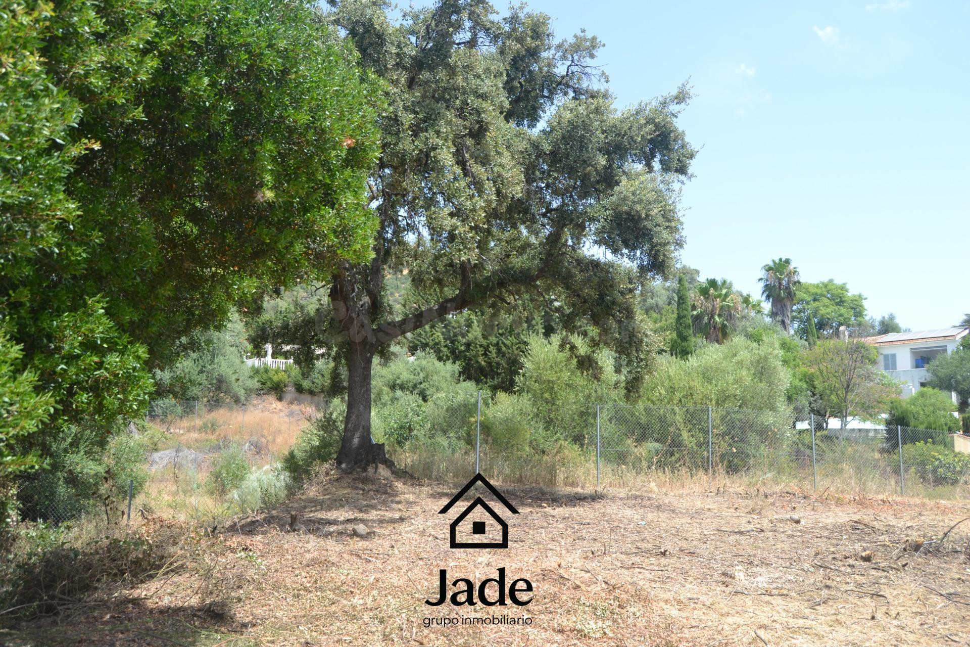 terreno Urbano en Santa Ana de la Albaida - foto 5