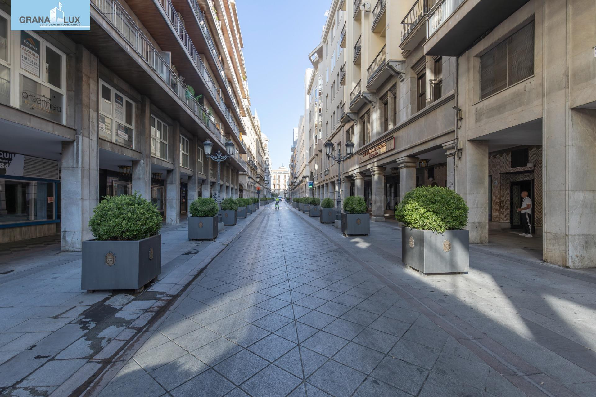 Espacio exclusivo en pleno centro de Granada - Ganivet - foto 4