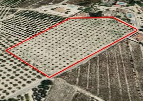 ¡Oportunidad única! Parcela rústica de 12.157 m2 en El Rebolledo, Alicante