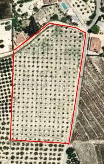 ¡Oportunidad única! Parcela rústica de 12.157 m2 en El Rebolledo, Alicante - foto 2
