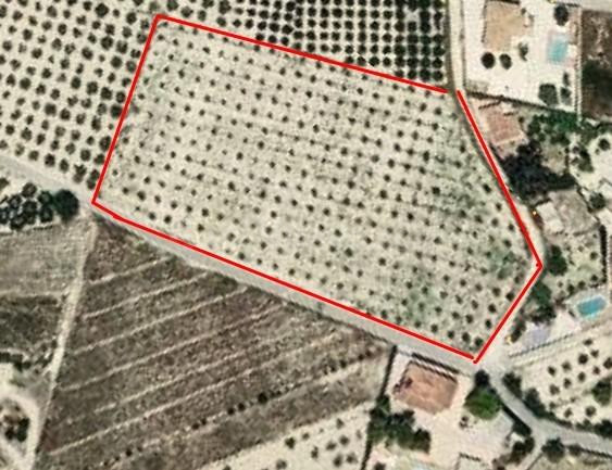 ¡Oportunidad única! Parcela rústica de 12.157 m2 en El Rebolledo, Alicante - foto 3