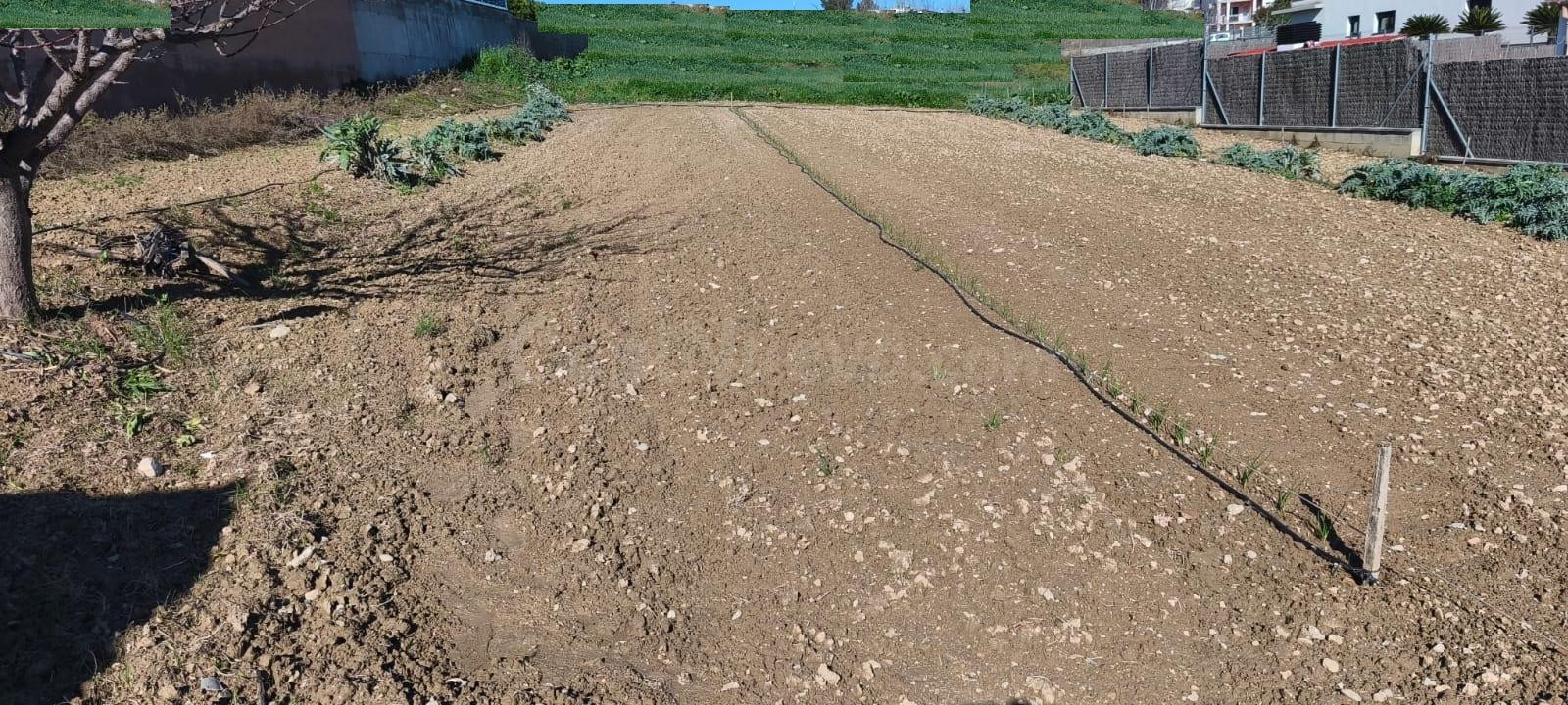 PARCELA EDIFICABLE EN VENTA EN VILOBI DEL PENEDÈS