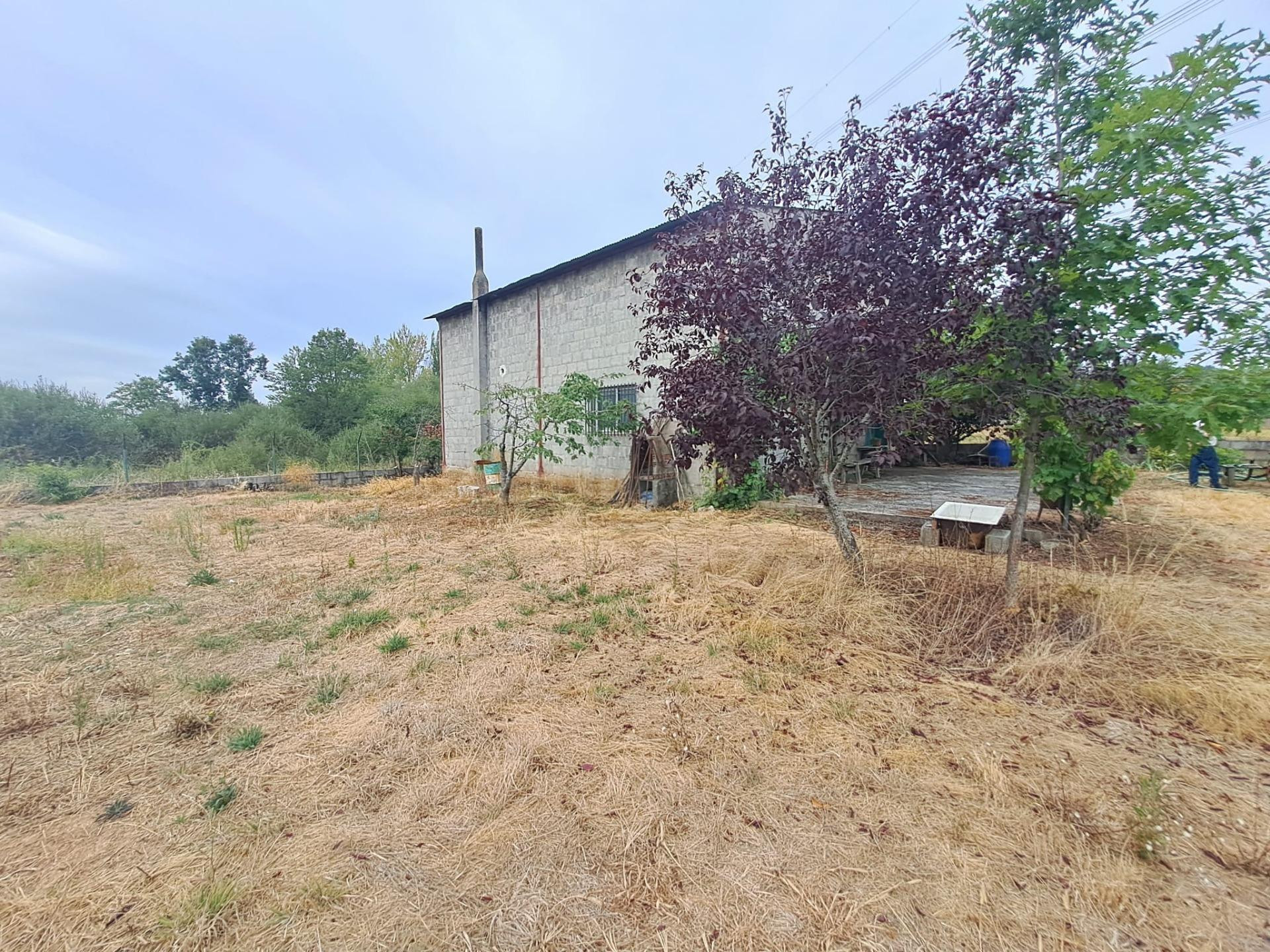 Se vende en Barcena del Bierzo Finca más Nave