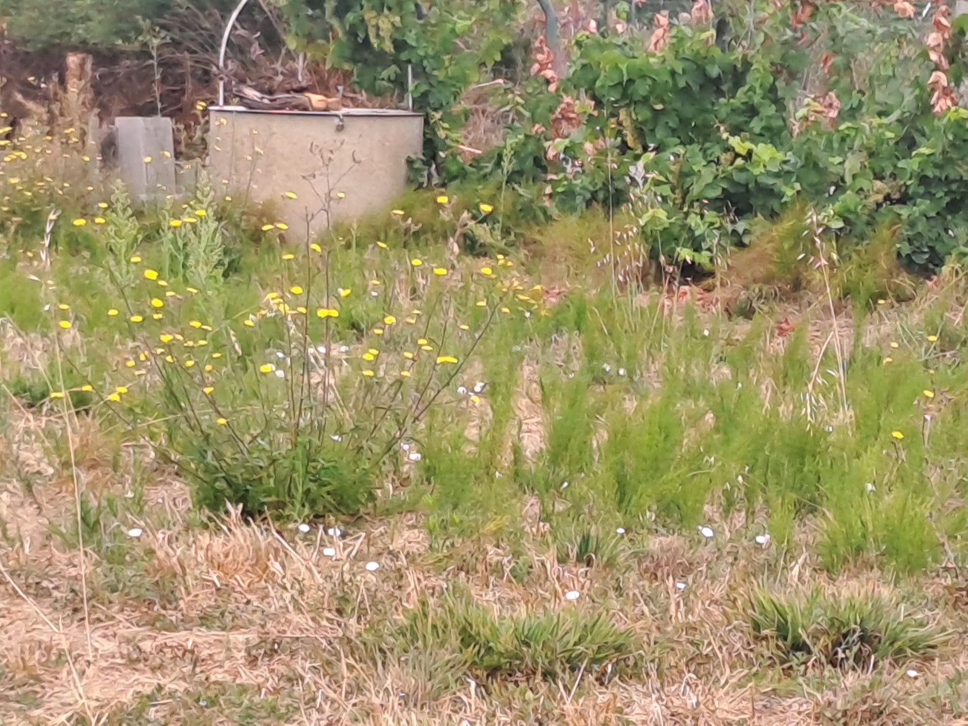 Se vende en Barcena del Bierzo Finca más Nave - foto 2