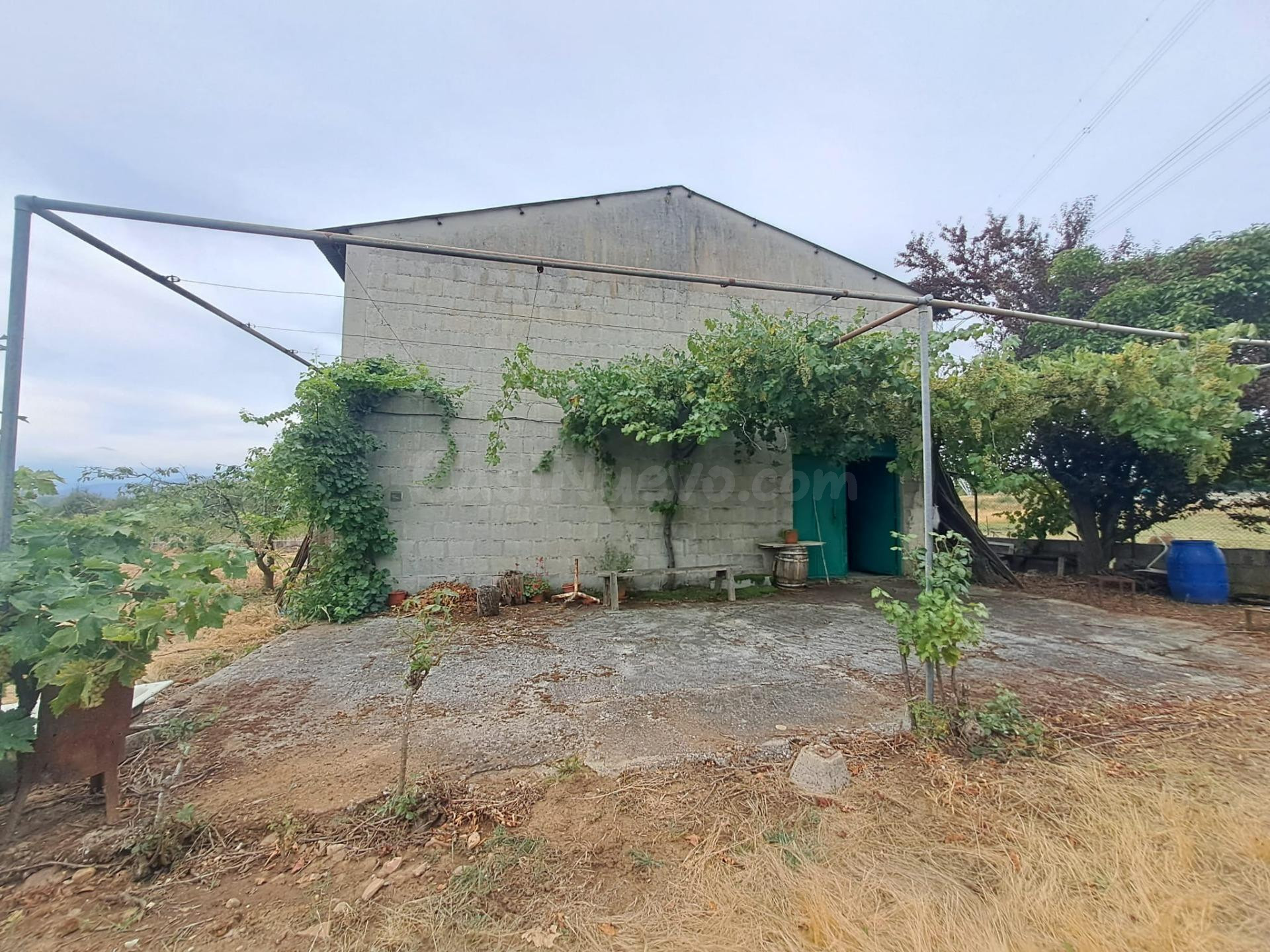 Se vende en Barcena del Bierzo Finca más Nave - foto 3