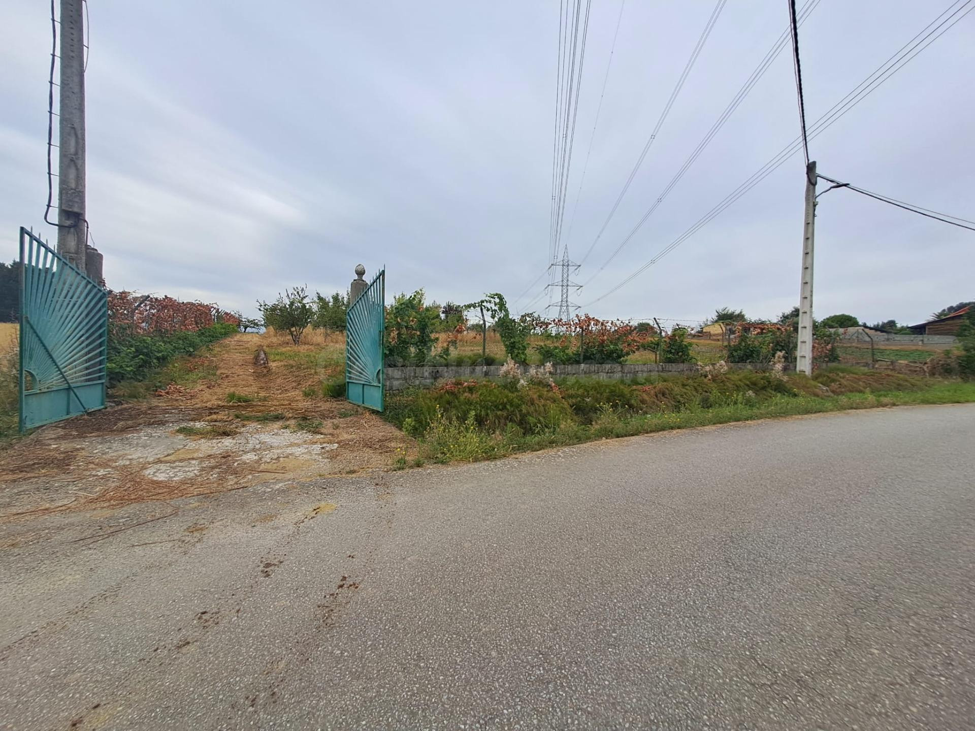 Se vende en Barcena del Bierzo Finca más Nave - foto 5