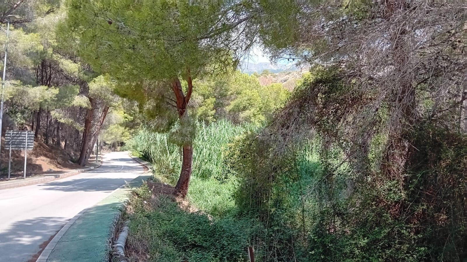 PARCELA ALTEA A POCOS METROS DEL MAR - foto 2