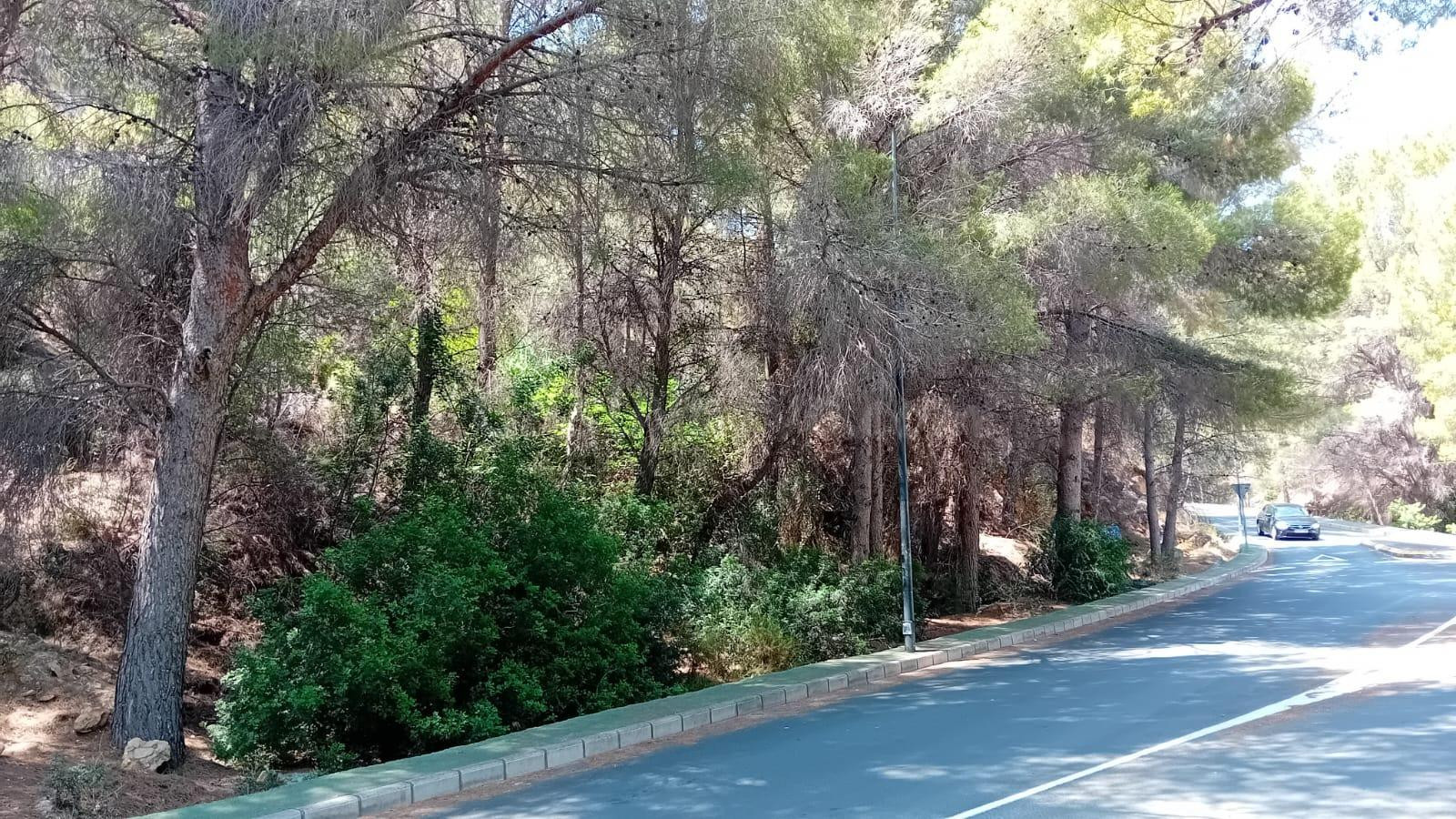 PARCELA ALTEA A POCOS METROS DEL MAR - foto 3