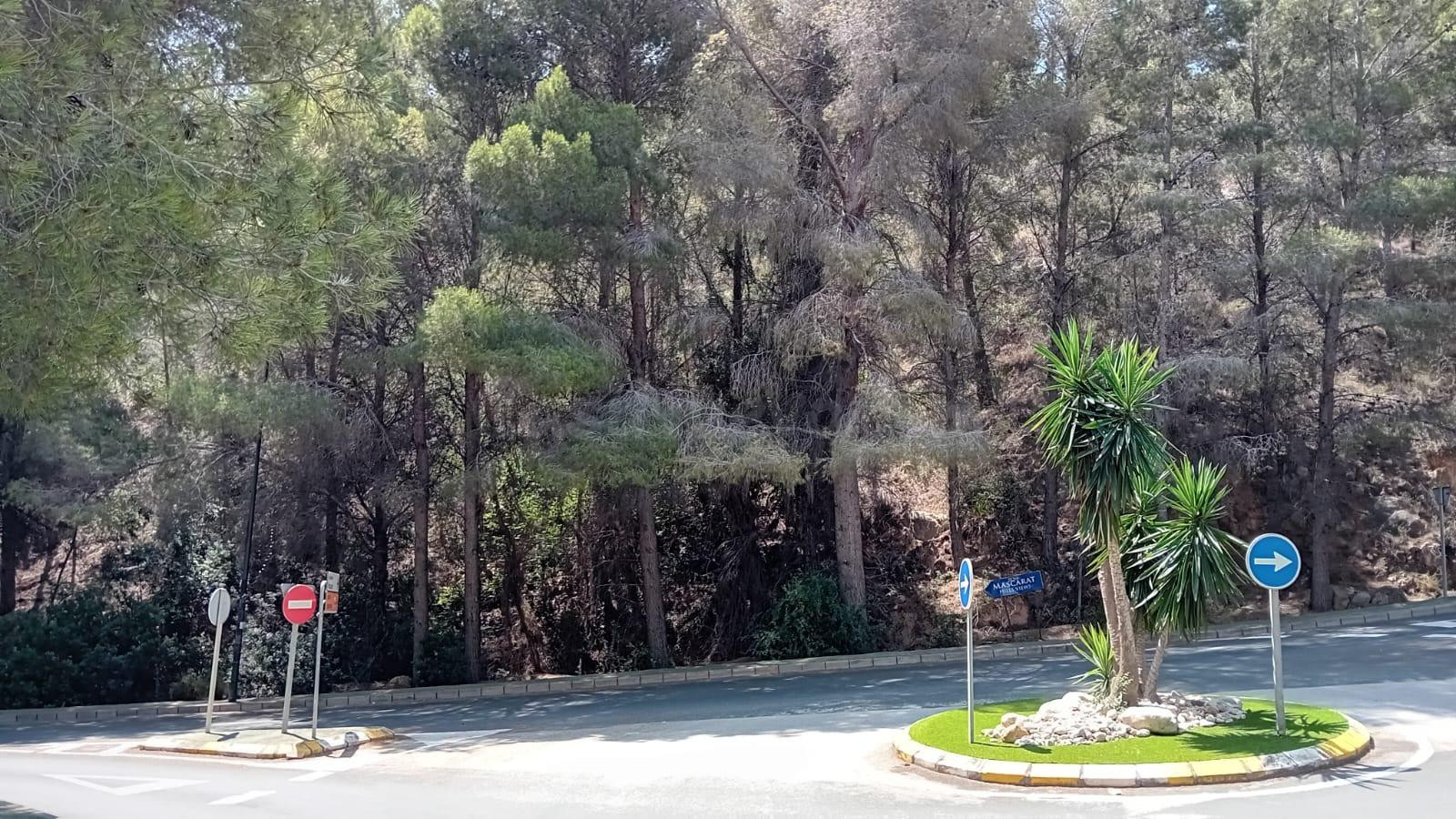 PARCELA ALTEA A POCOS METROS DEL MAR - foto 5