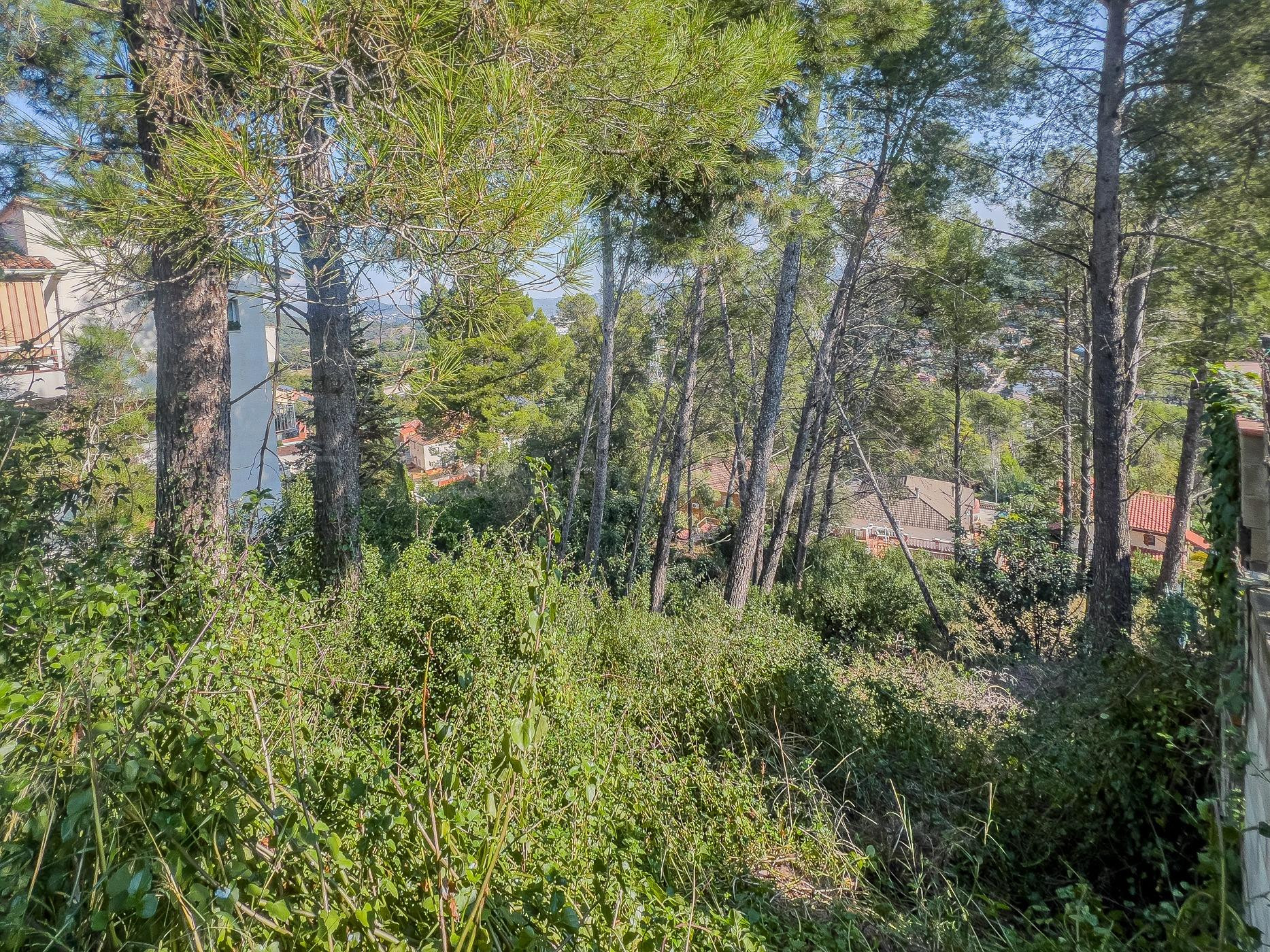 Parcela de 778m con orientación Sur, en Urbanización Can Gui - foto 4