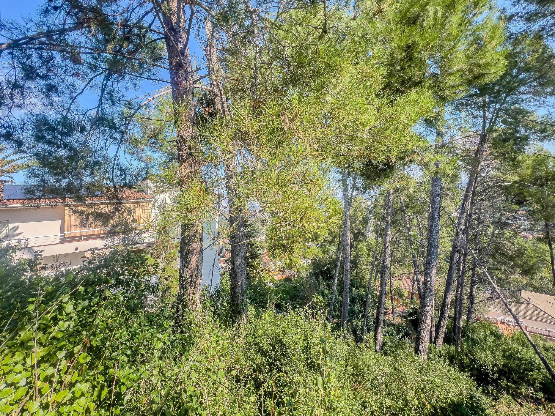Parcela de 778m con orientación Sur, en Urbanización Can Gui - foto 5