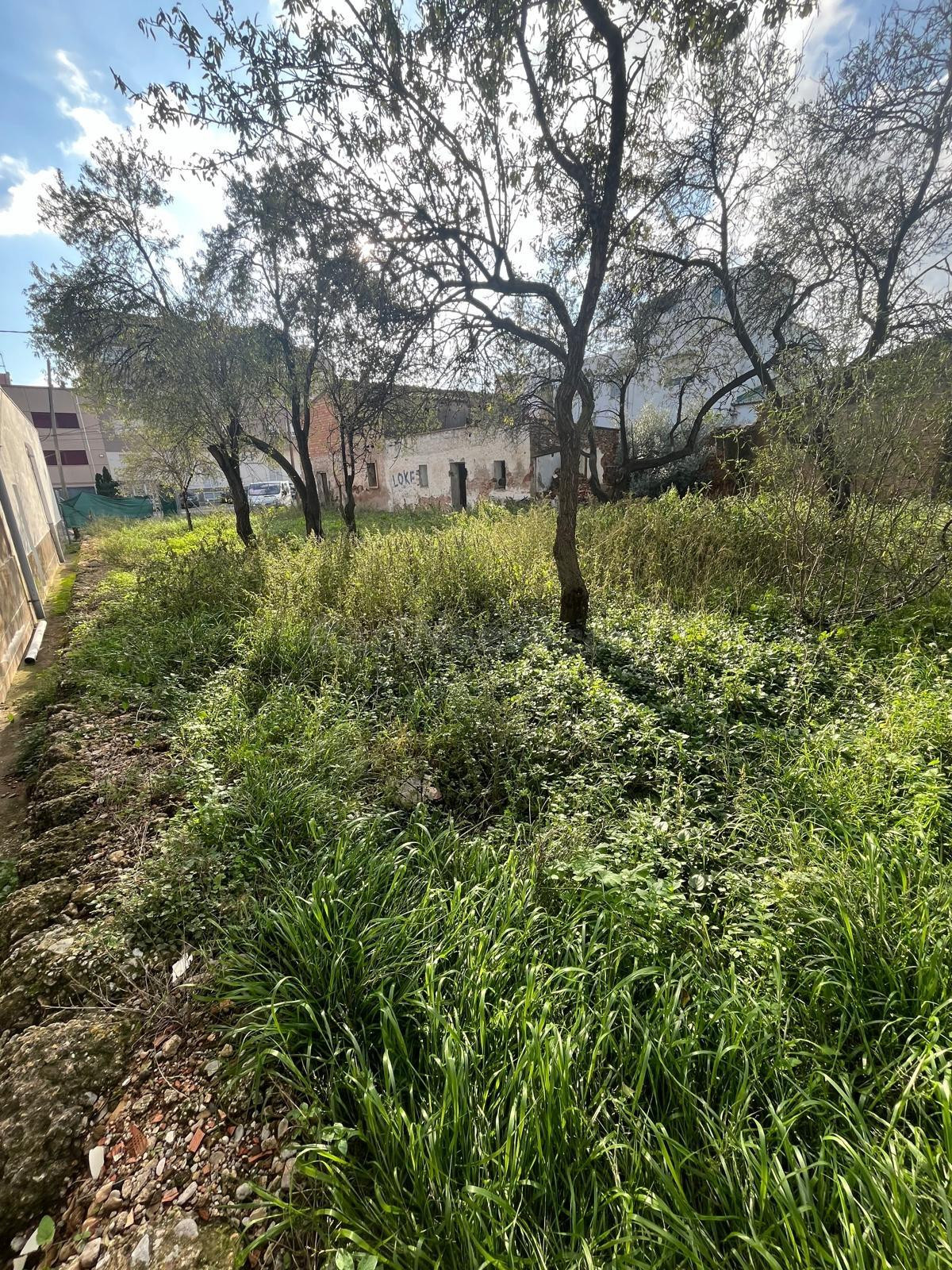 Terreno urbano en Avenida Alcora - foto 3