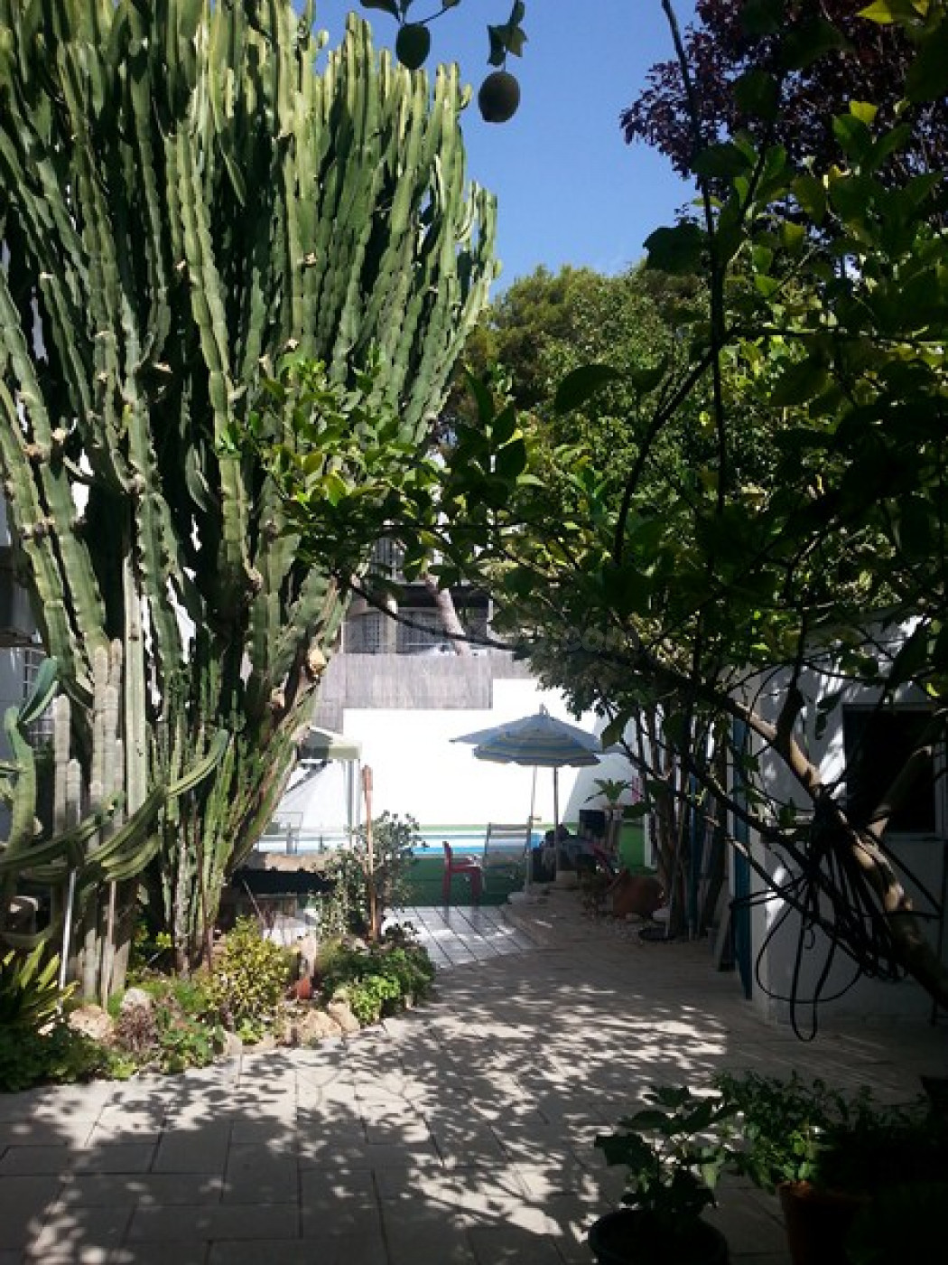 Excelente Chalet en Campoamor. - foto 3
