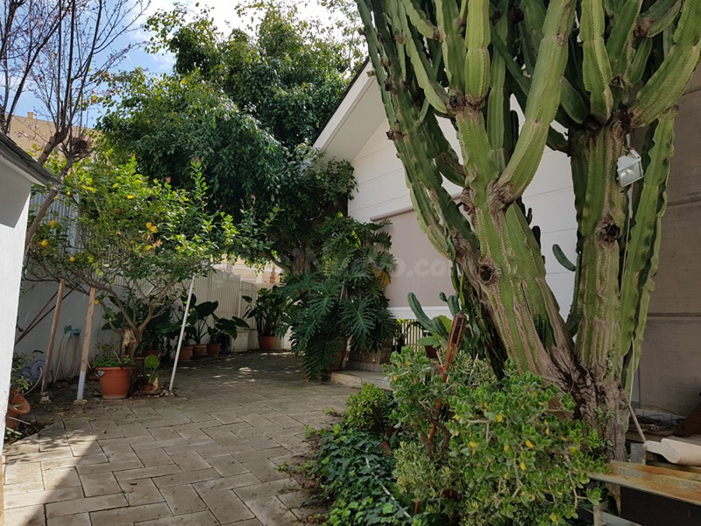 Excelente Chalet en Campoamor. - foto 4
