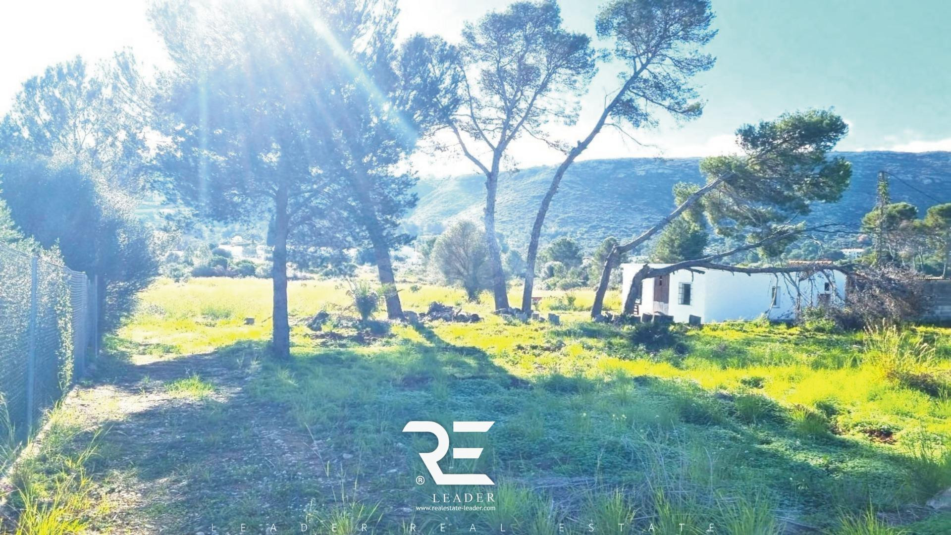 FINCA RÚSTICA CON GRAN POTENCIAL EN PARTIDA DE LA PLANA – DÉNIA